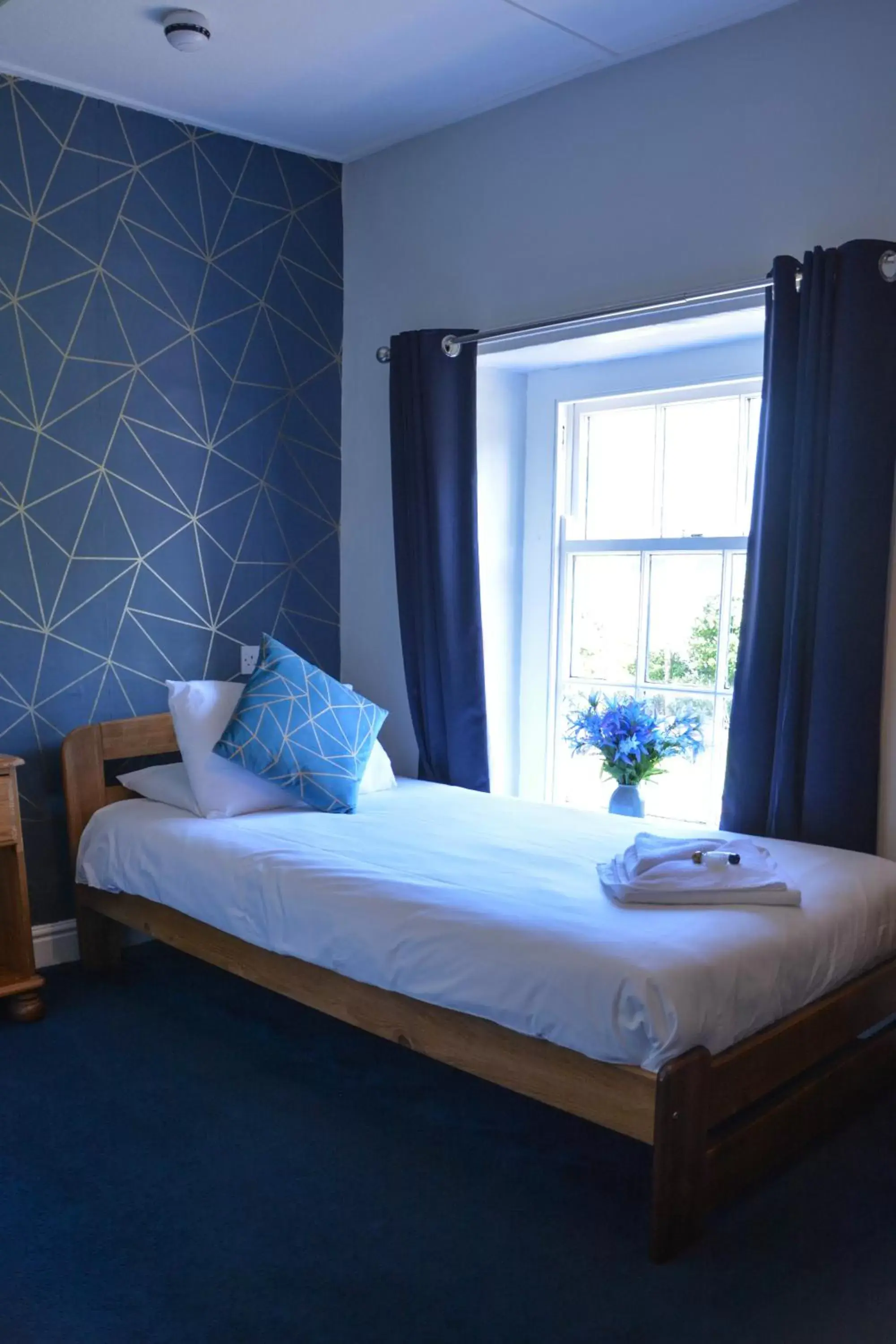 Bed in Llanerch Inn