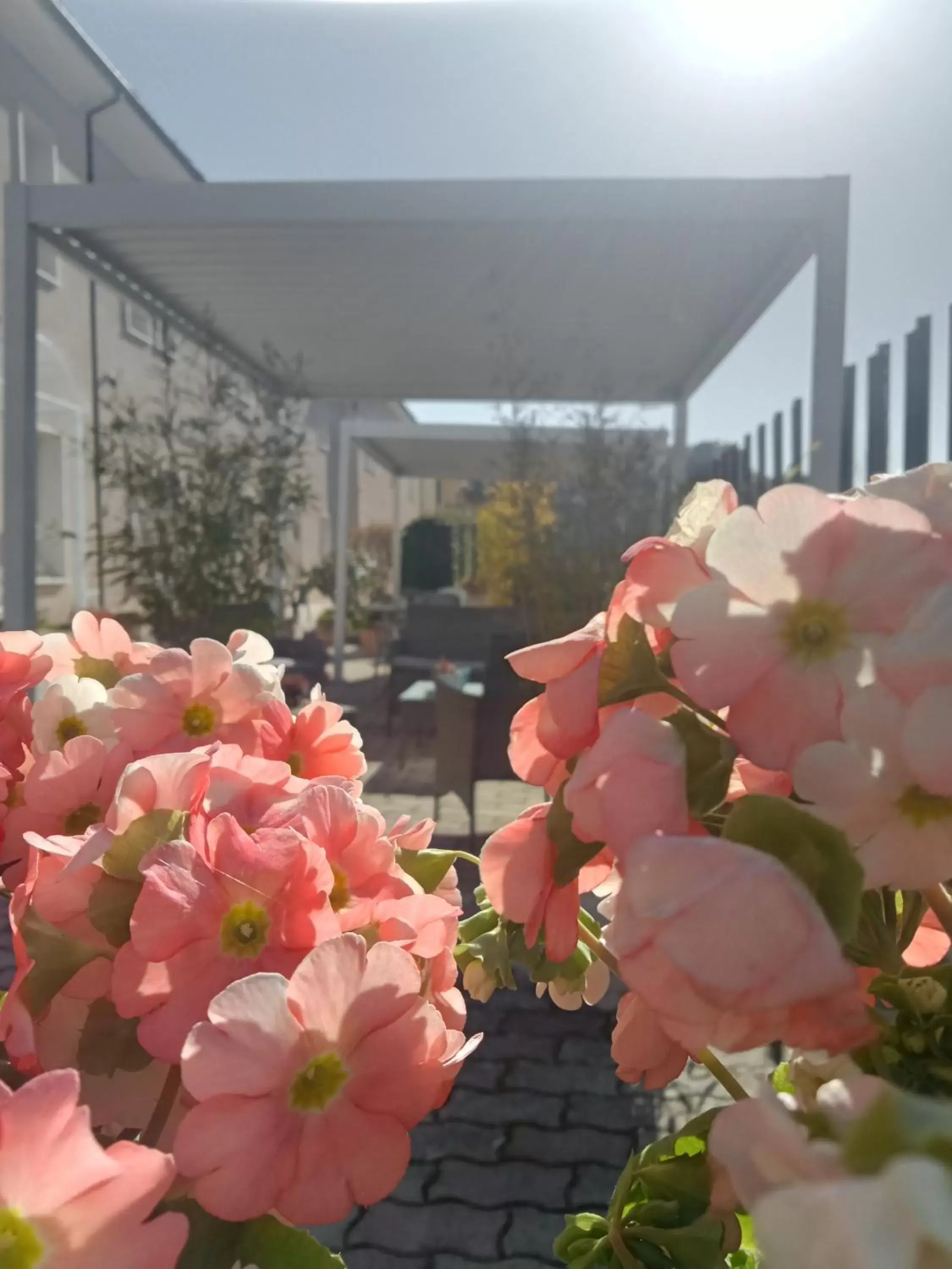 Patio in Hotel Porta Rivera