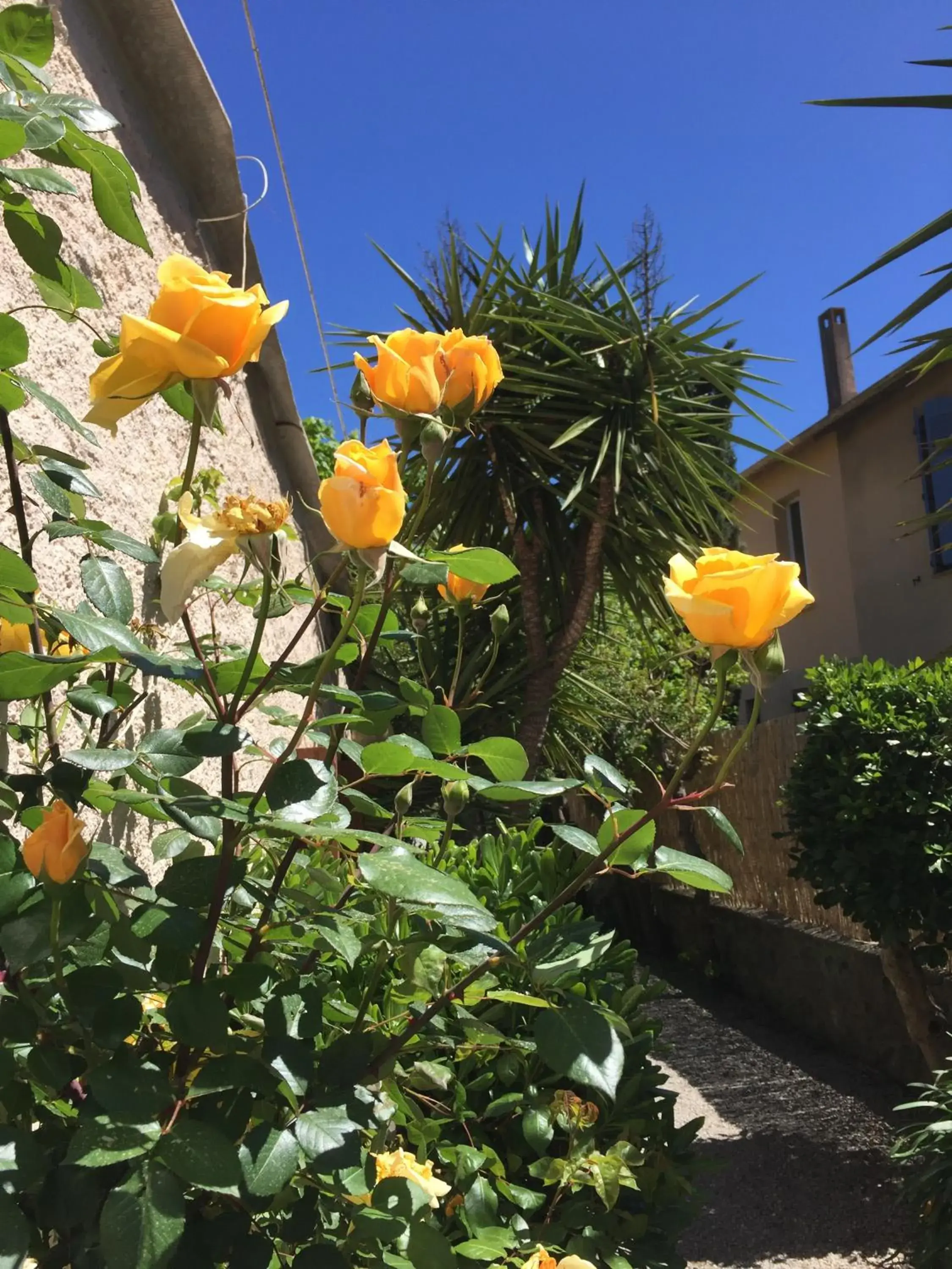 Spring in Hotel le Castellamar