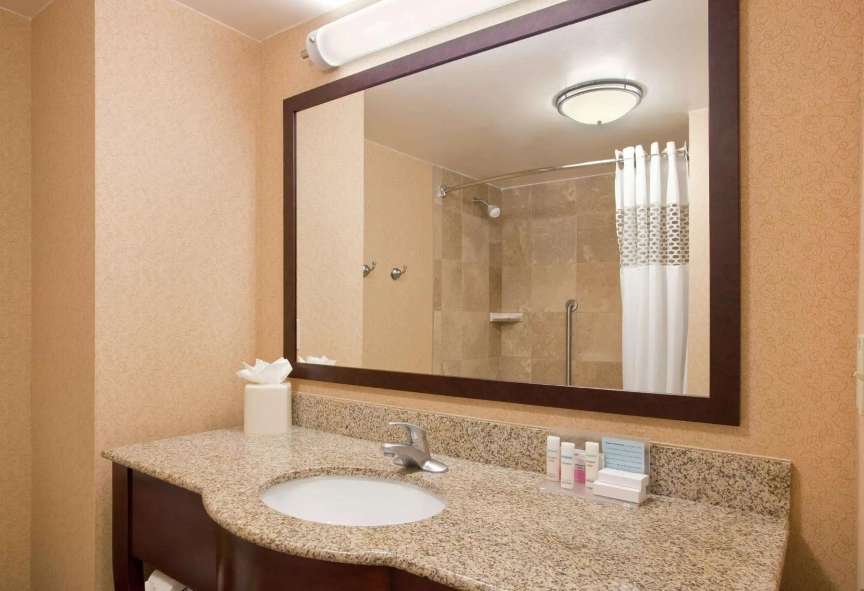 Bathroom in Hampton Inn & Suites Omaha Southwest-La Vista