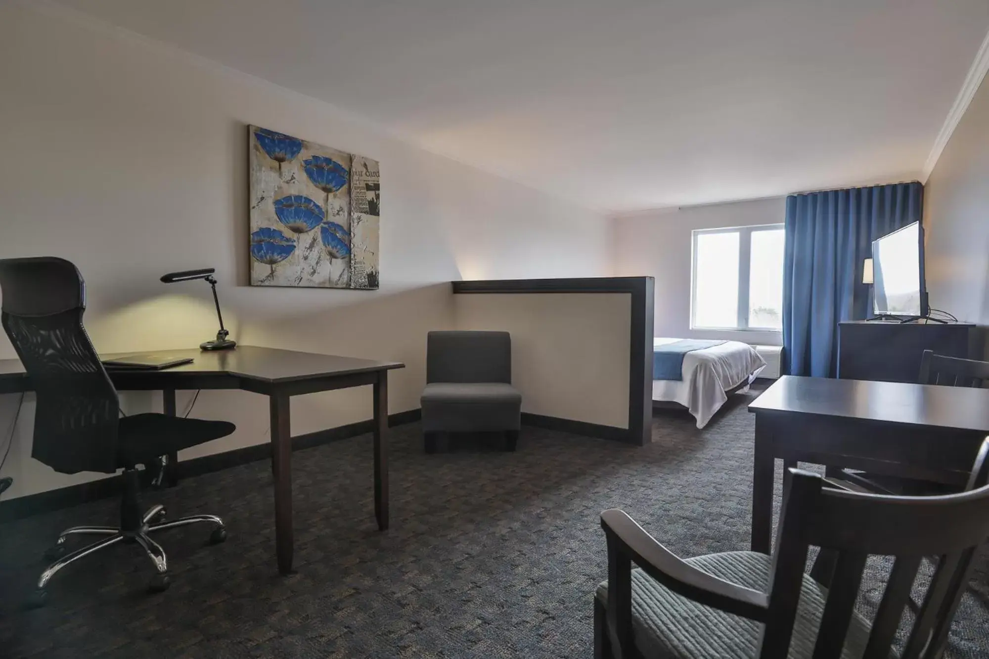 Business facilities, TV/Entertainment Center in Comfort Inn & Suites