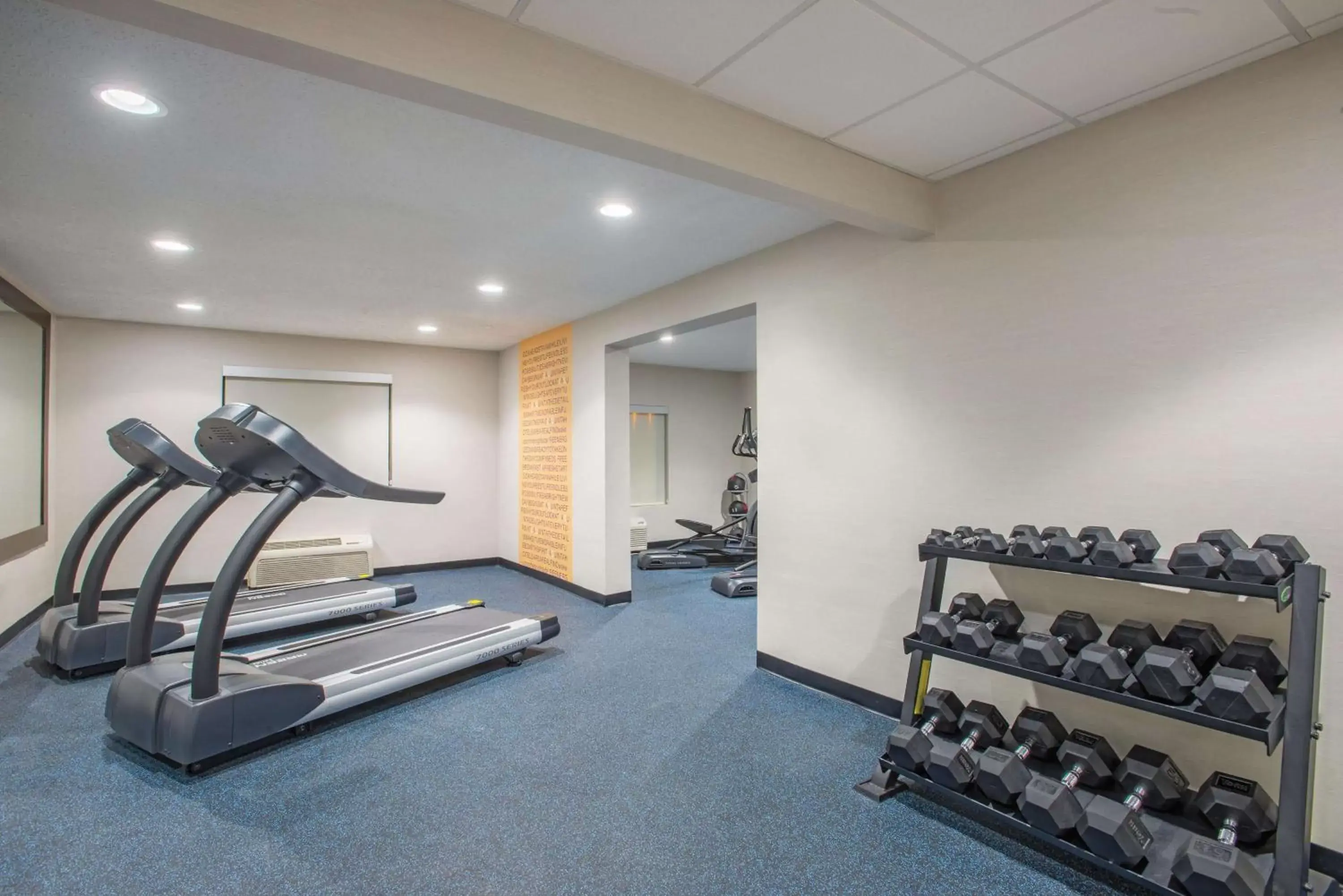 Fitness centre/facilities, Fitness Center/Facilities in La Quinta Inn & Suites by Wyndham DC Metro Capital Beltway