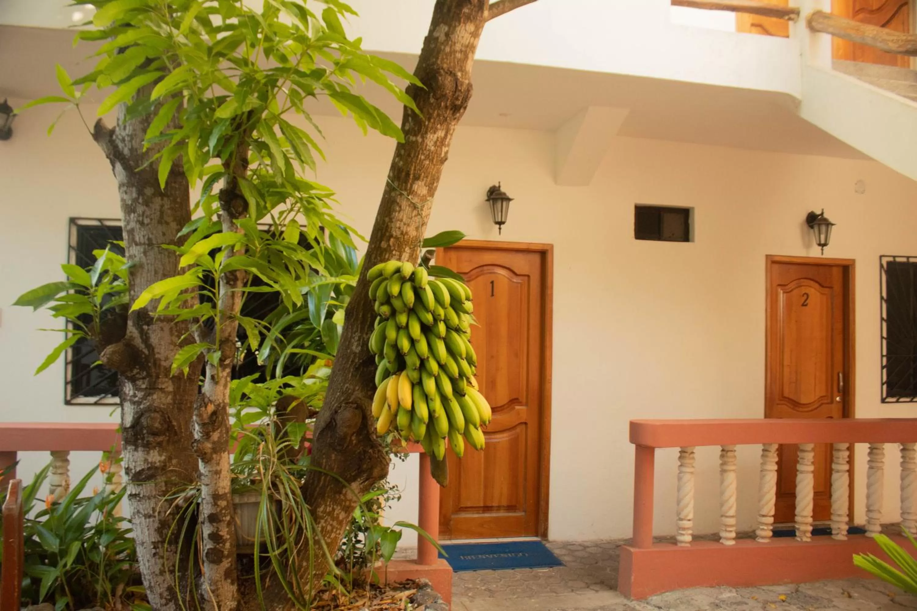 Patio in Casa de Nelly