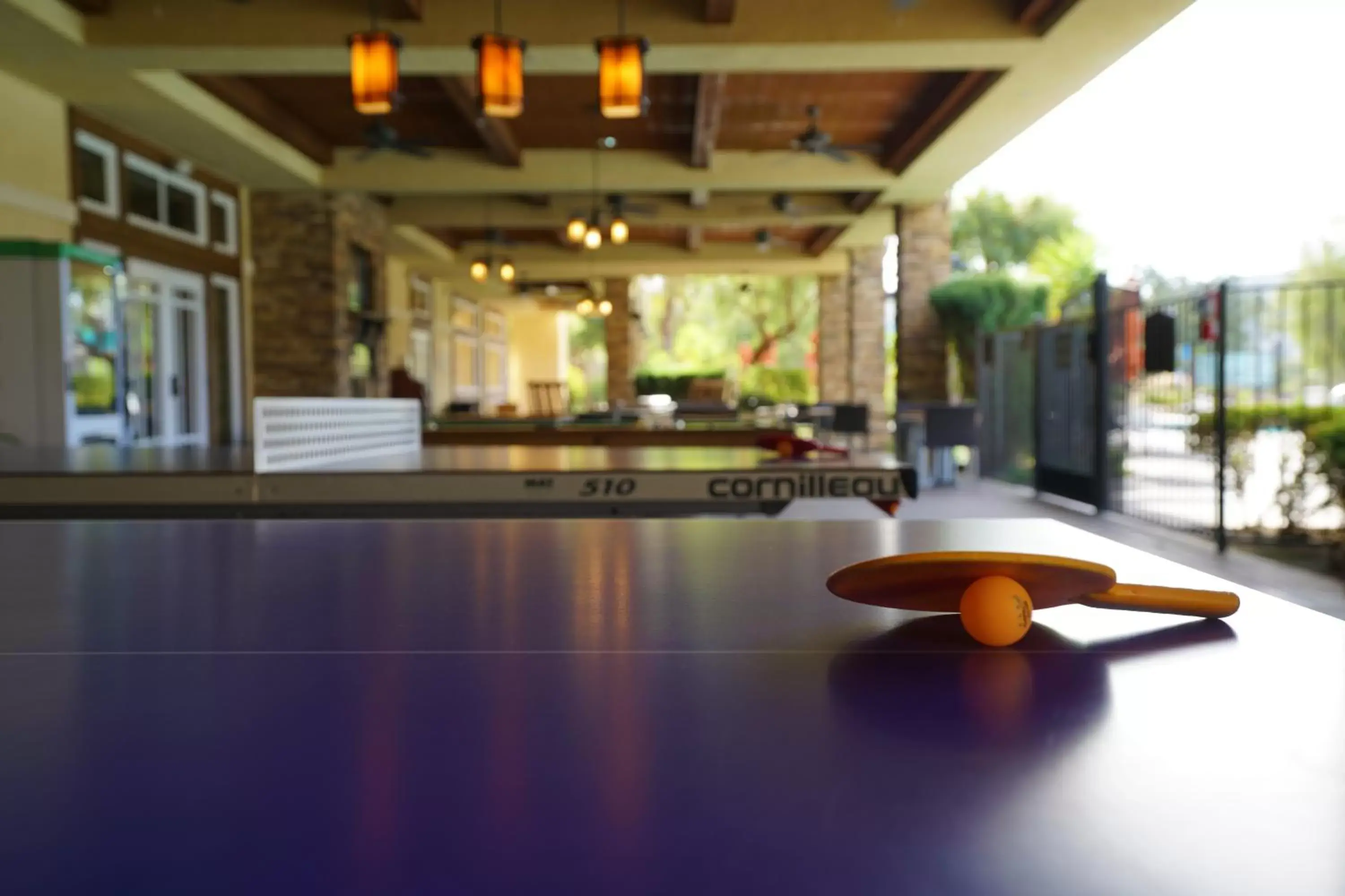 Table tennis in Hyatt Vacation Club at the Welk