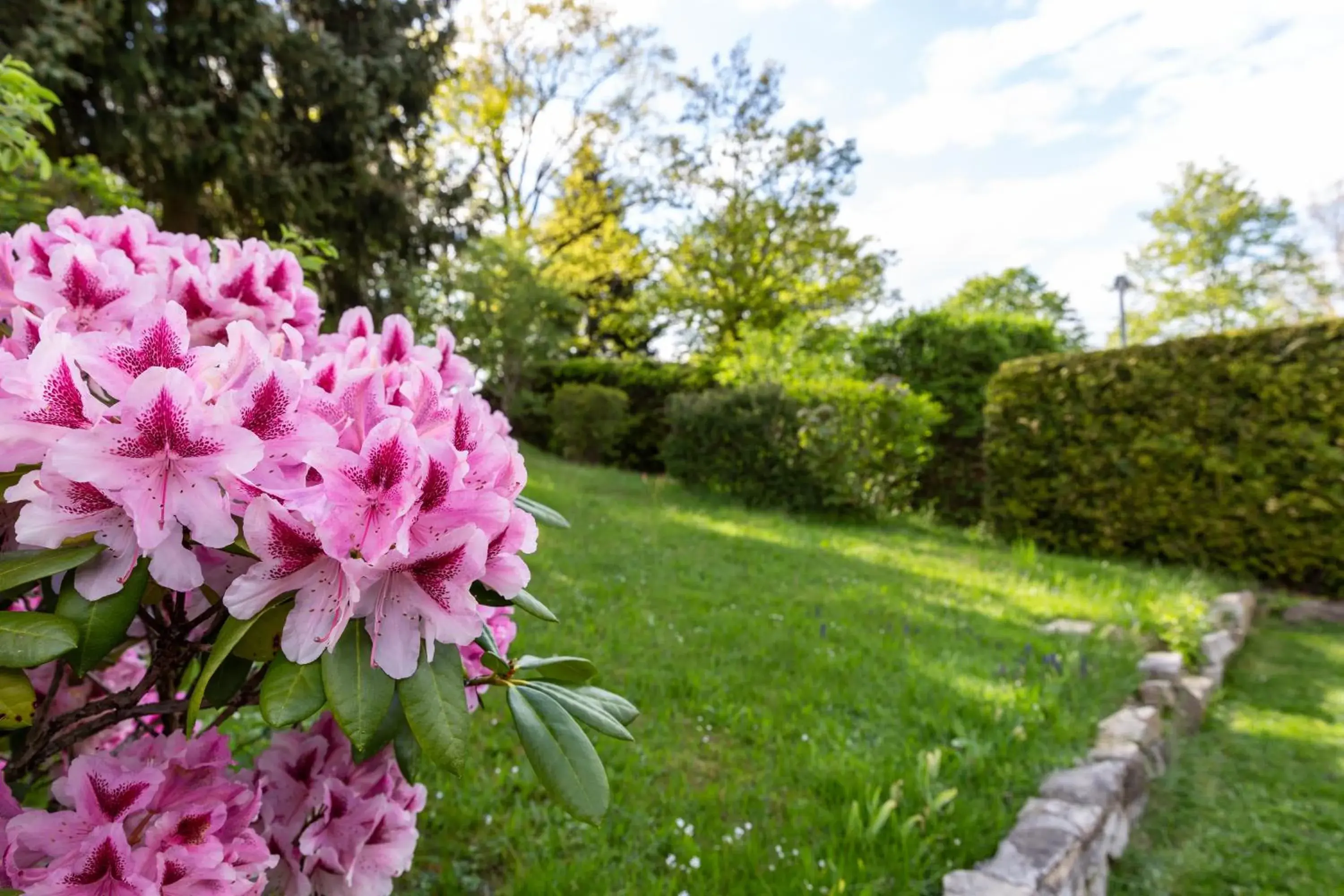 Garden in Landhotel Gottinger