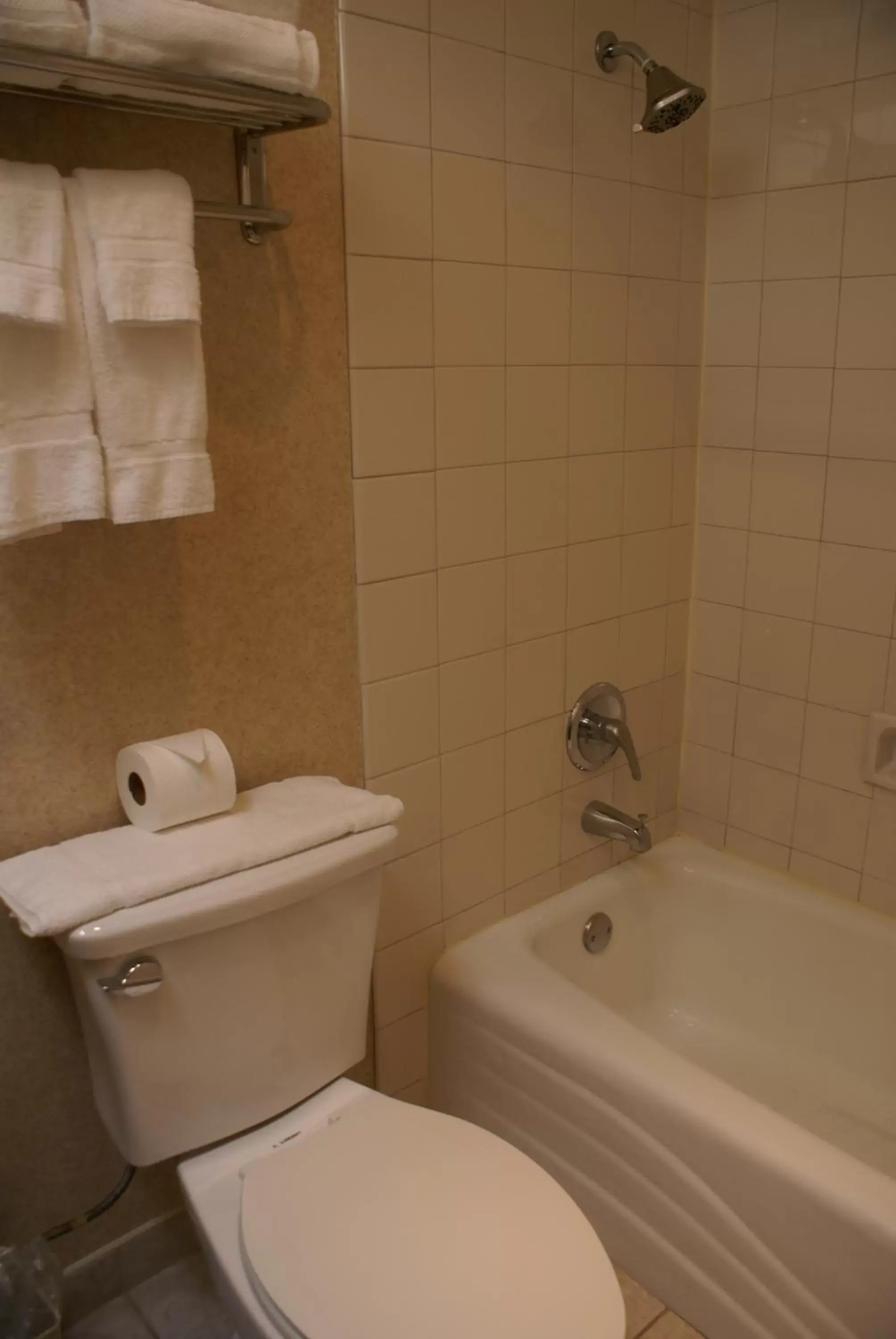 Shower, Bathroom in Royal Palace Westwood Hotel