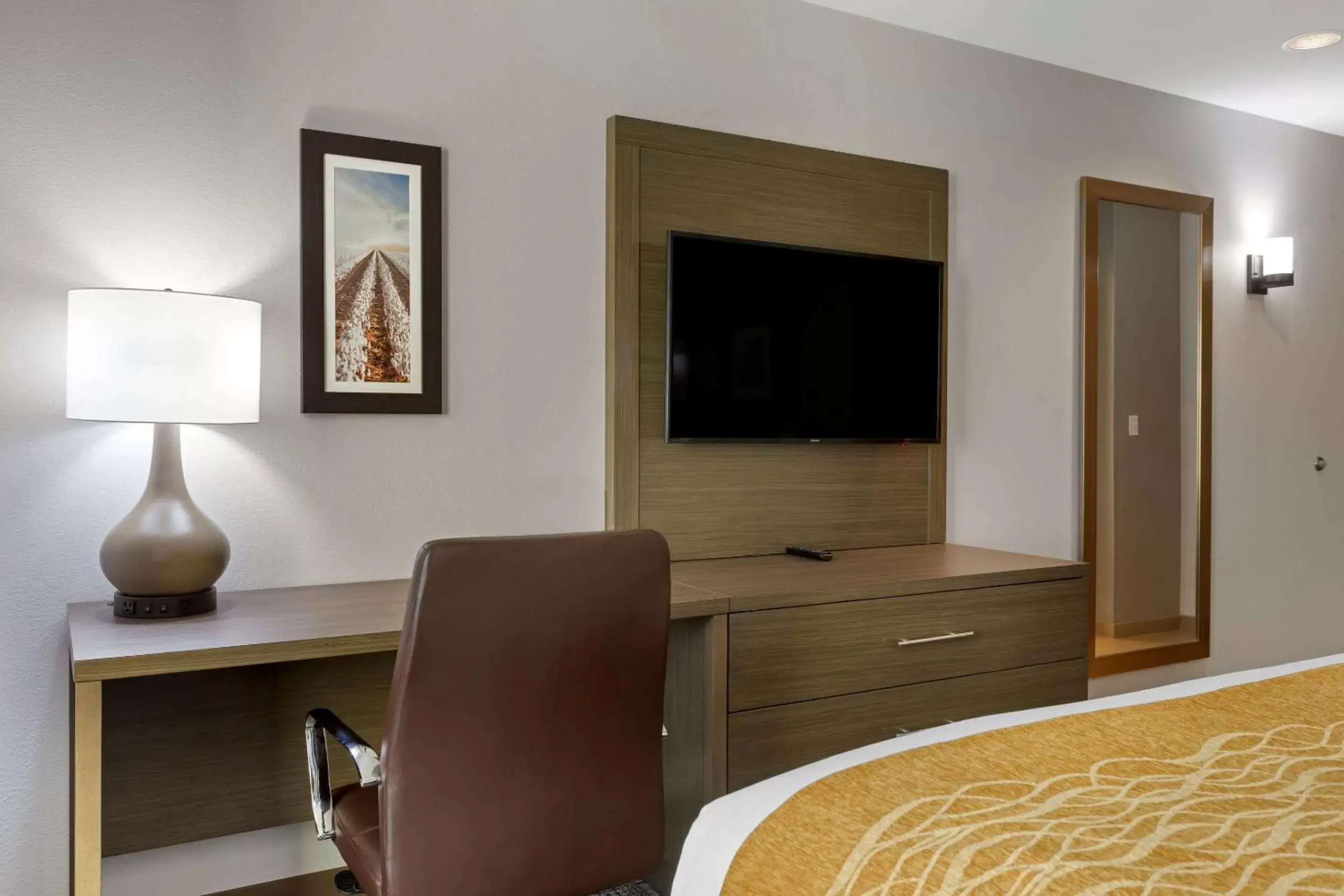 Photo of the whole room, TV/Entertainment Center in Comfort Inn