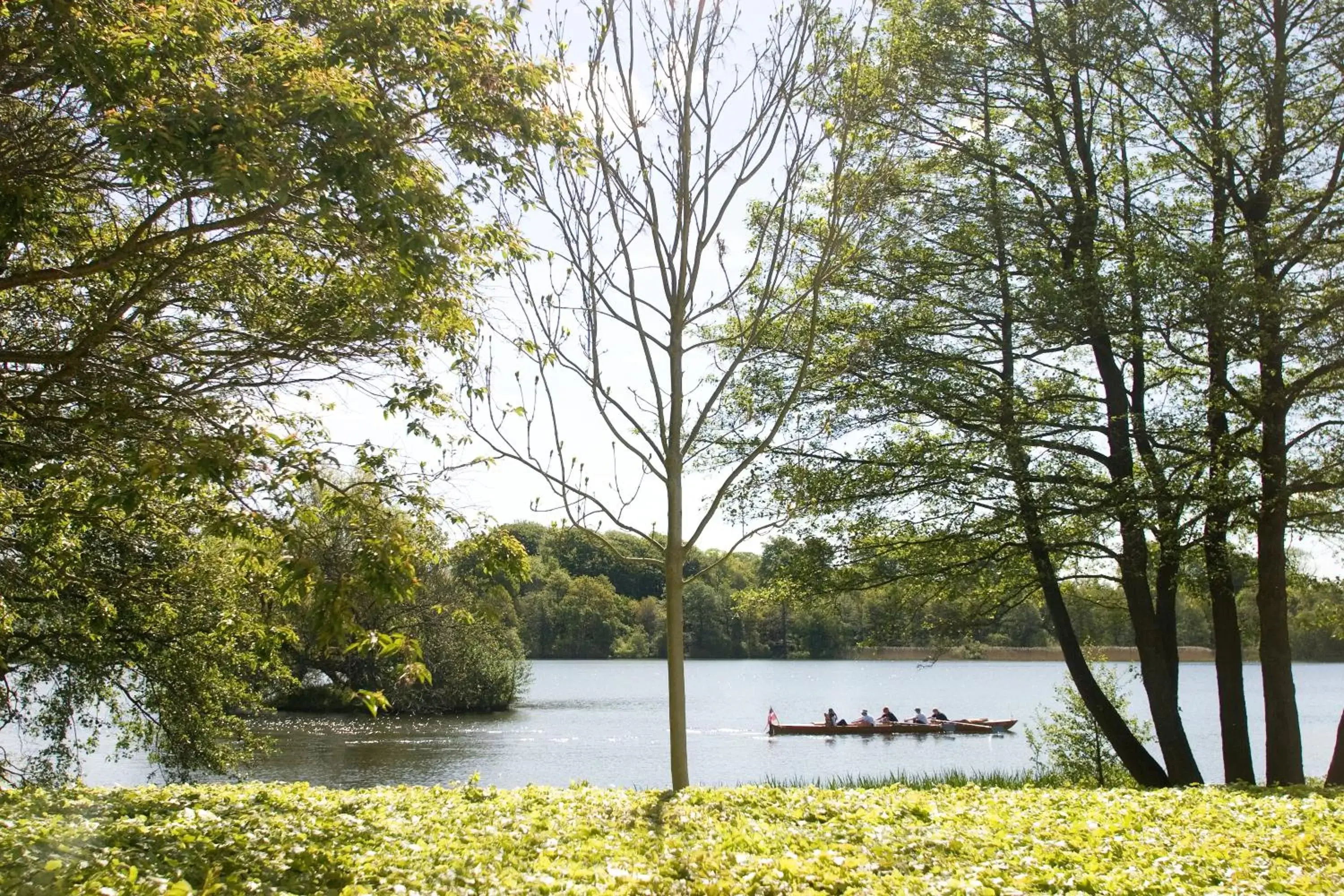 Lake view in Golf Hotel Viborg