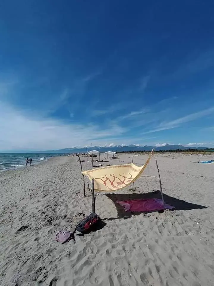 Beach in I Levrieri b&b