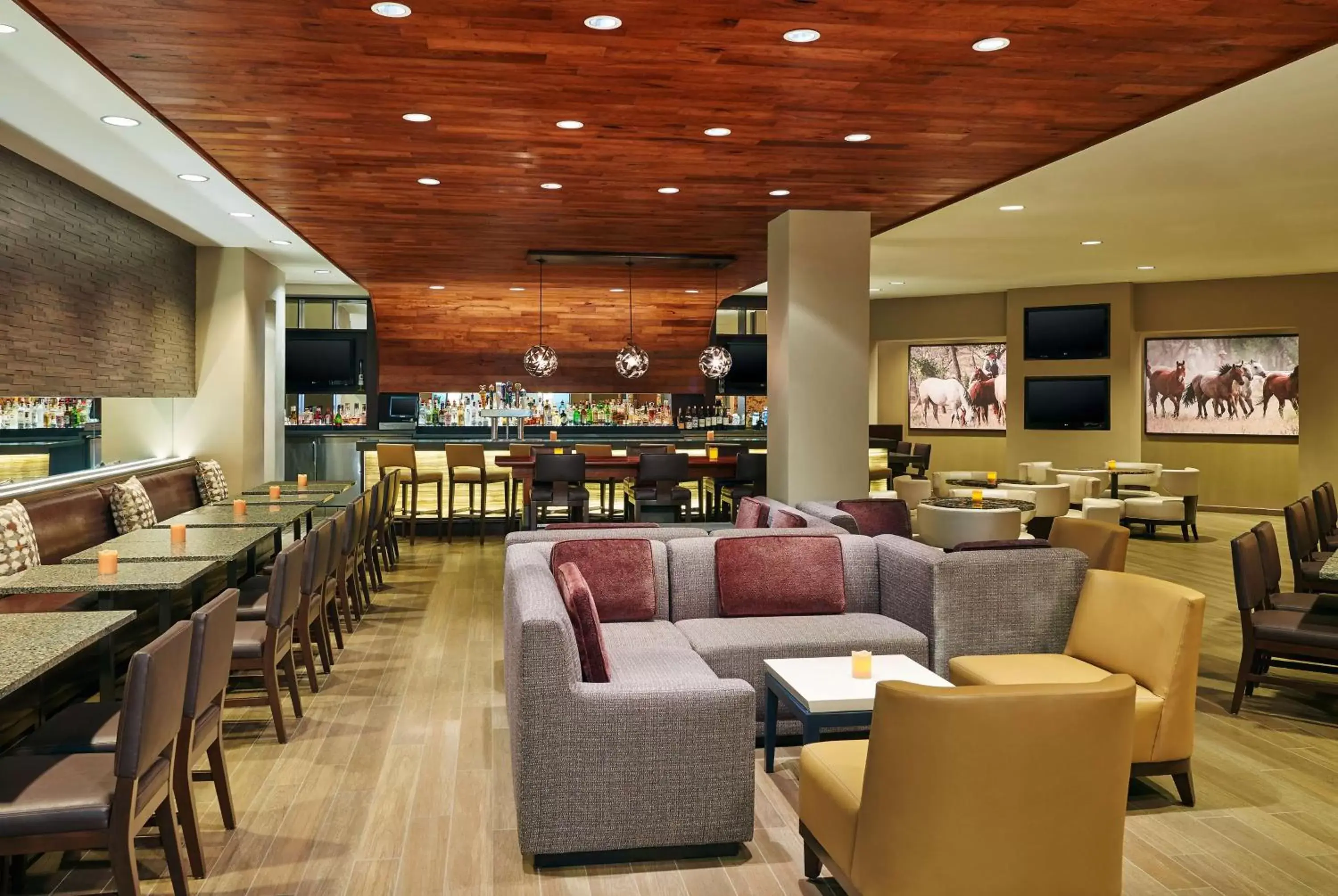 Lounge or bar, Restaurant/Places to Eat in DoubleTree by Hilton San Antonio Airport