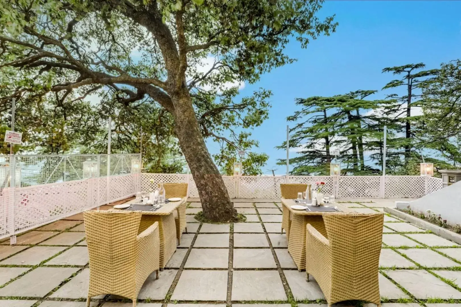 Restaurant/places to eat in Summit Le Royale Hotel, Shimla Restaurant/places to eat in Summit Le Royale Hotel, Shimla