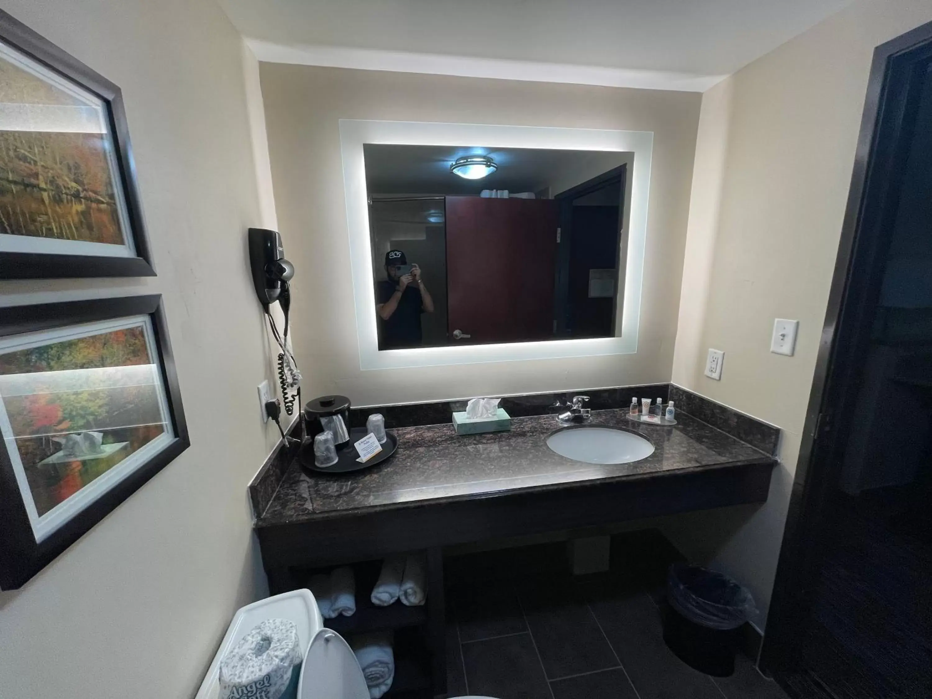 Shower, Bathroom in Comfort Inn Orange