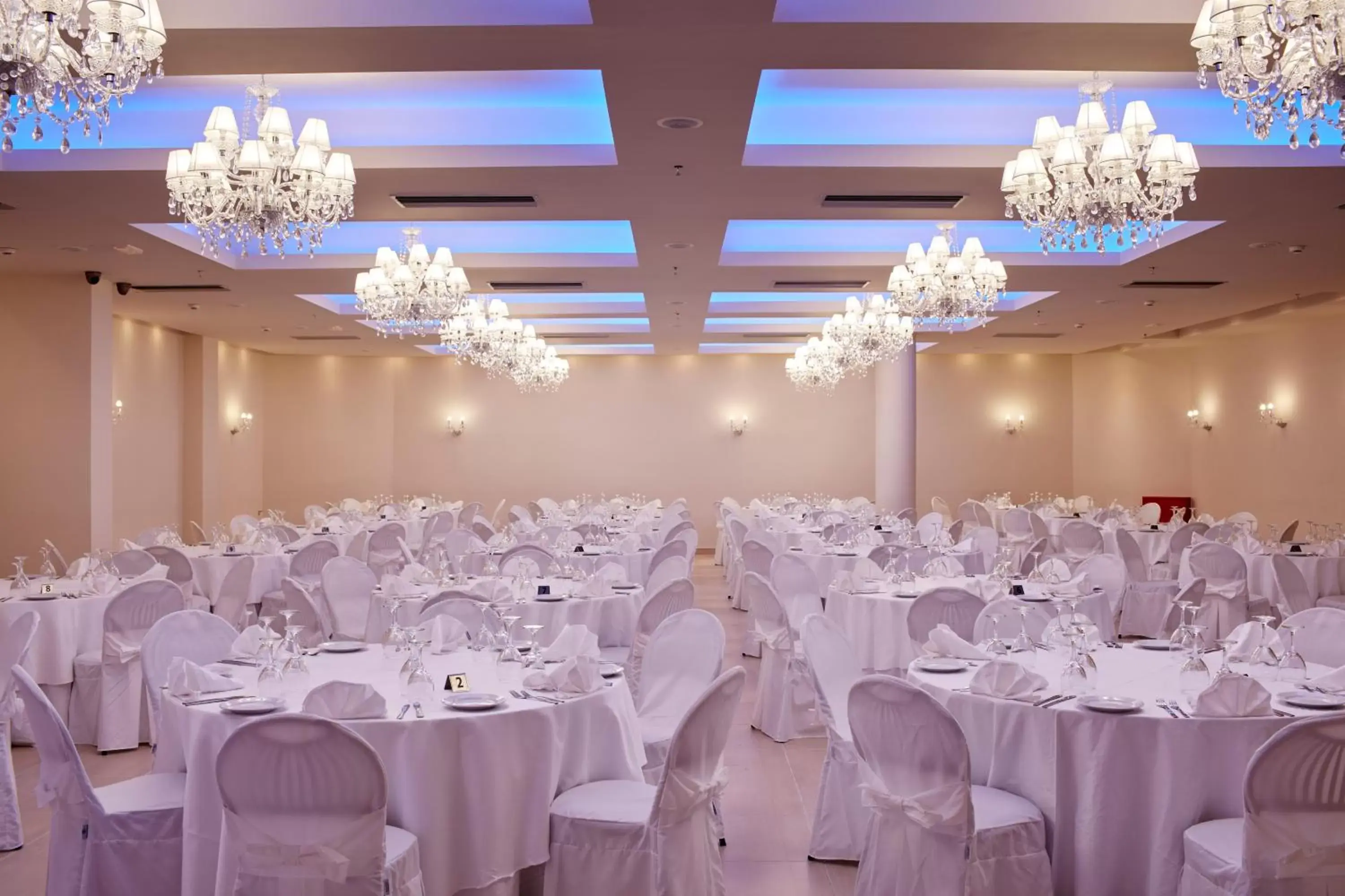Banquet/Function facilities, Banquet Facilities in Aar Hotel & Spa Ioannina