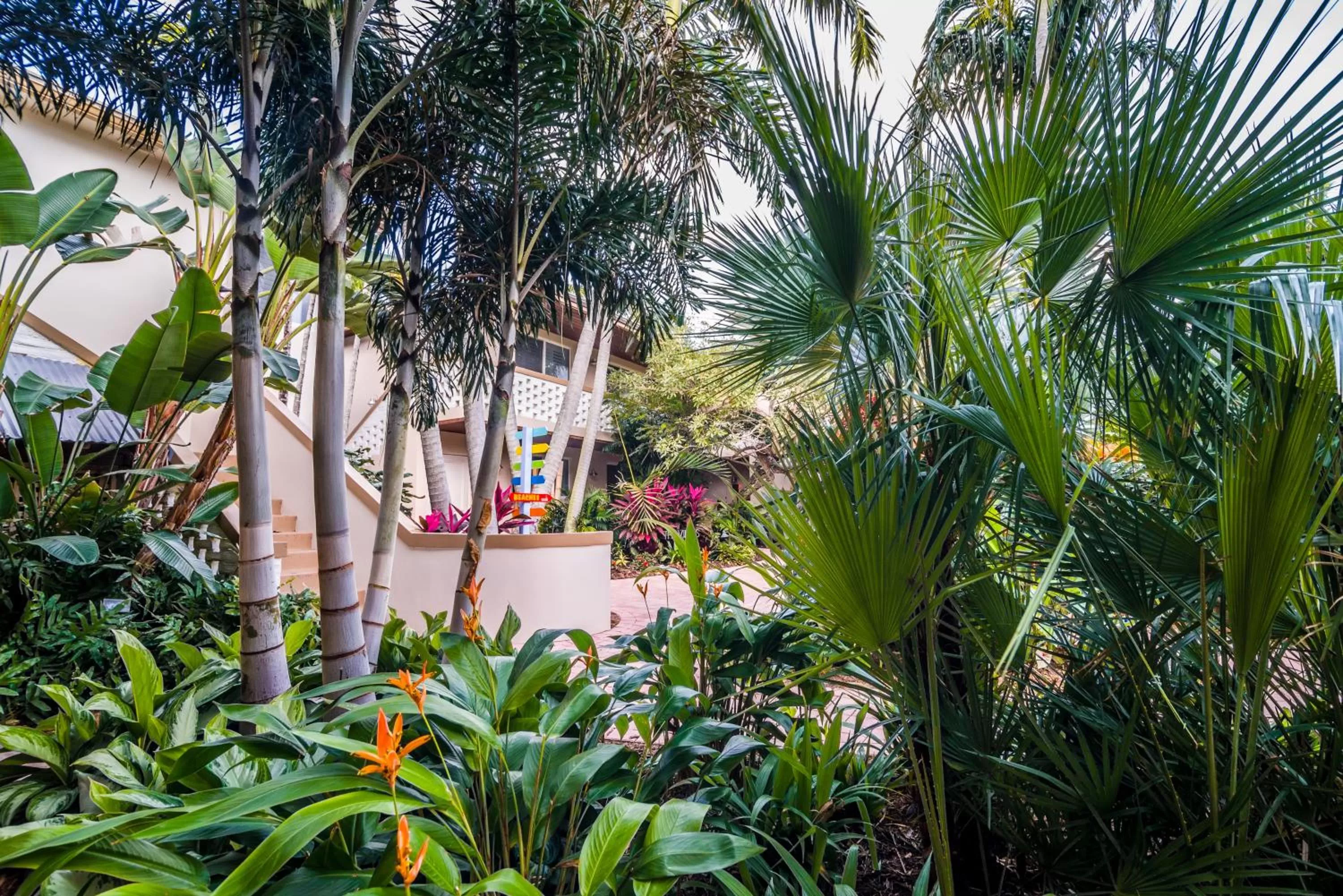 Garden in Crane's Beach House Boutique Hotel & Luxury Villas