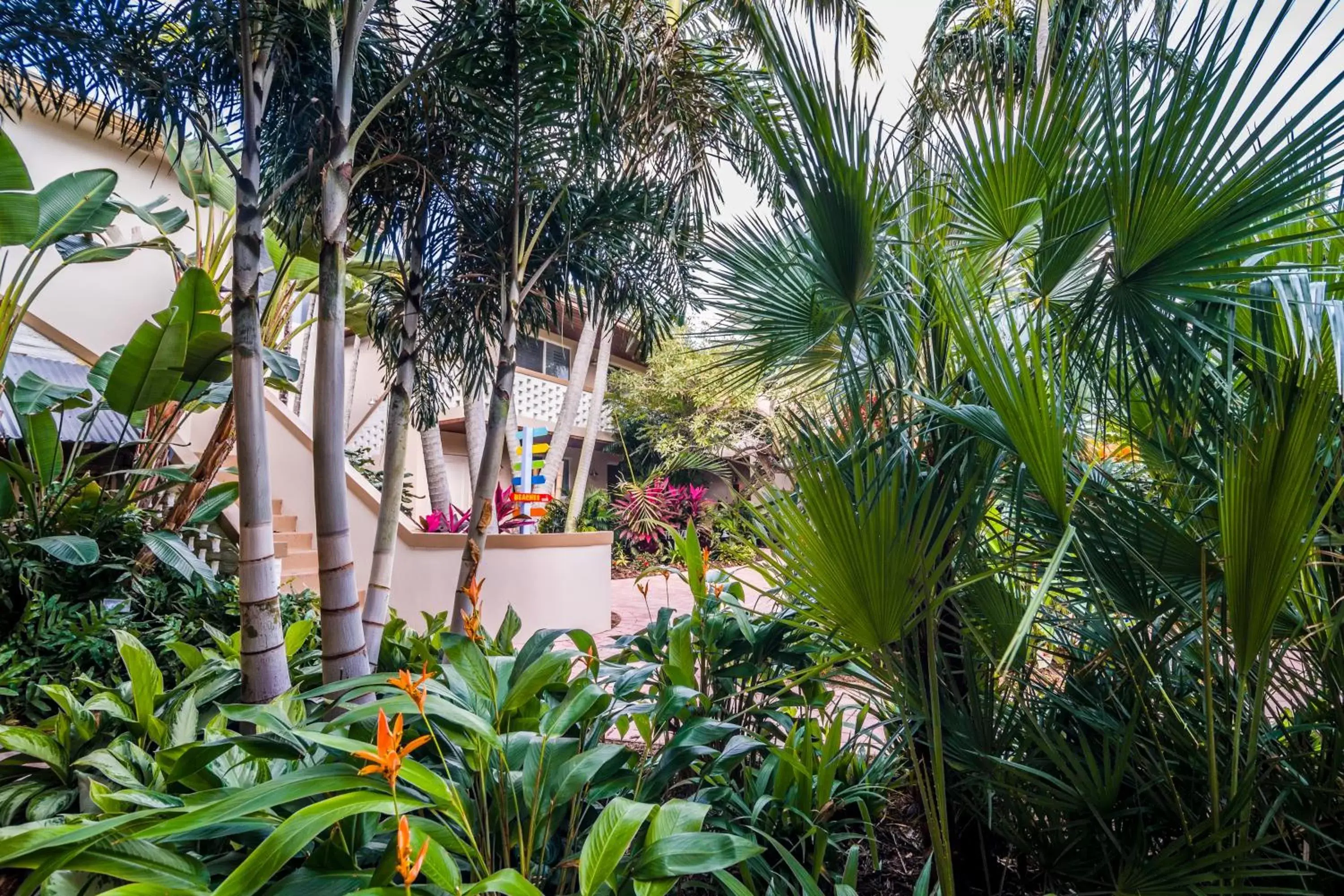 Garden in Crane's Beach House Boutique Hotel & Luxury Villas