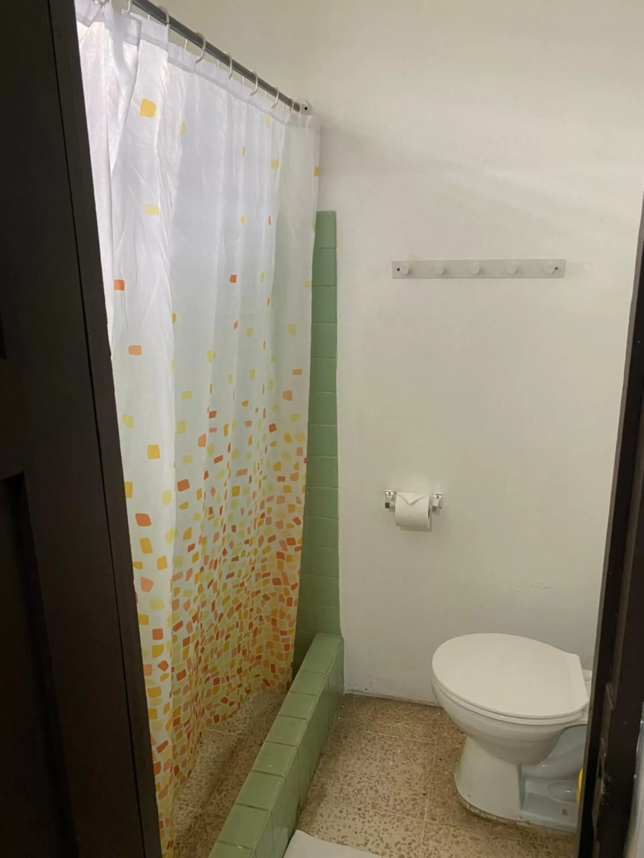 Toilet, Bathroom in Hotel Cañas