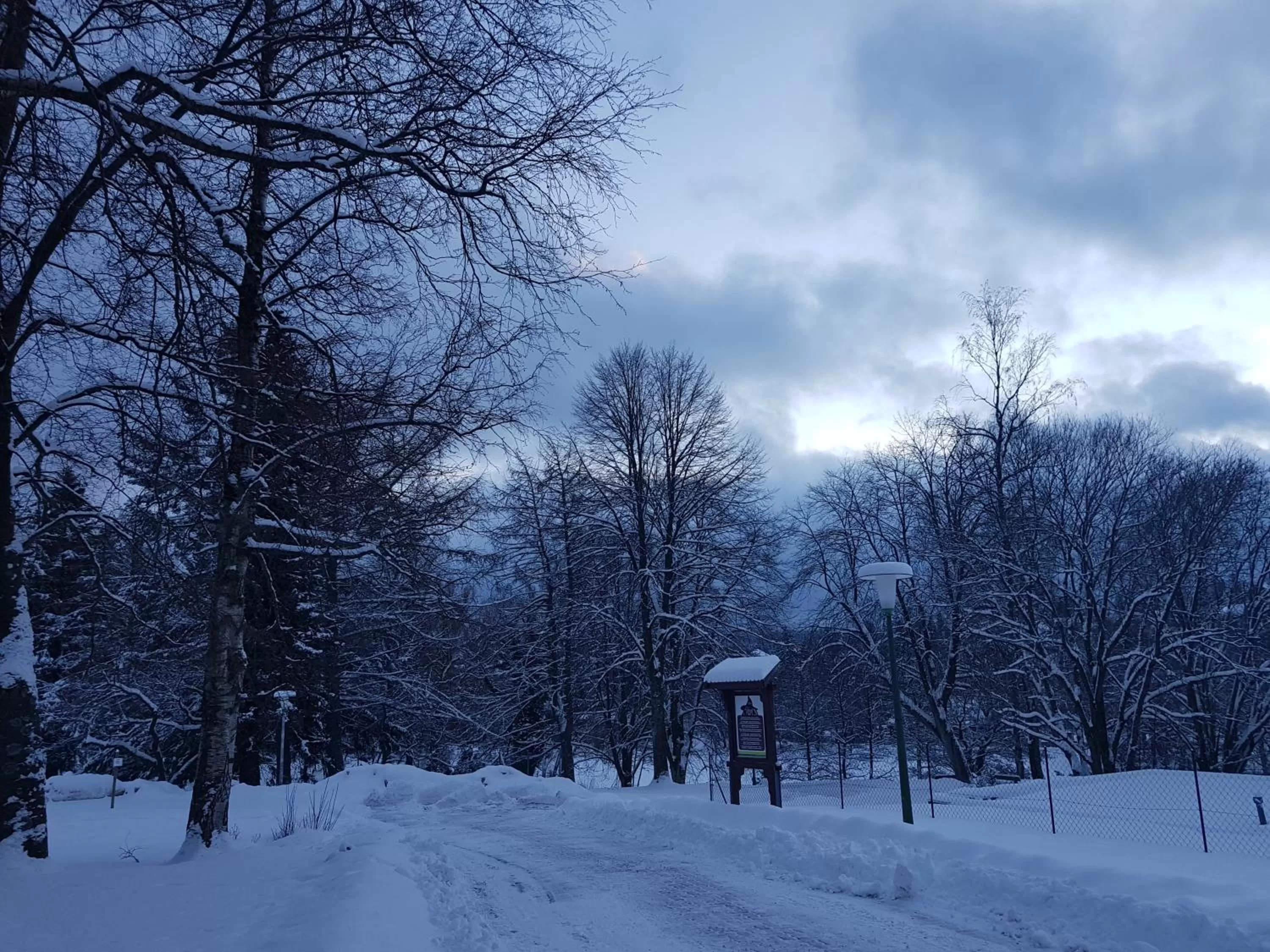 Natural landscape, Winter in Hotel Elisabeth-Ilse