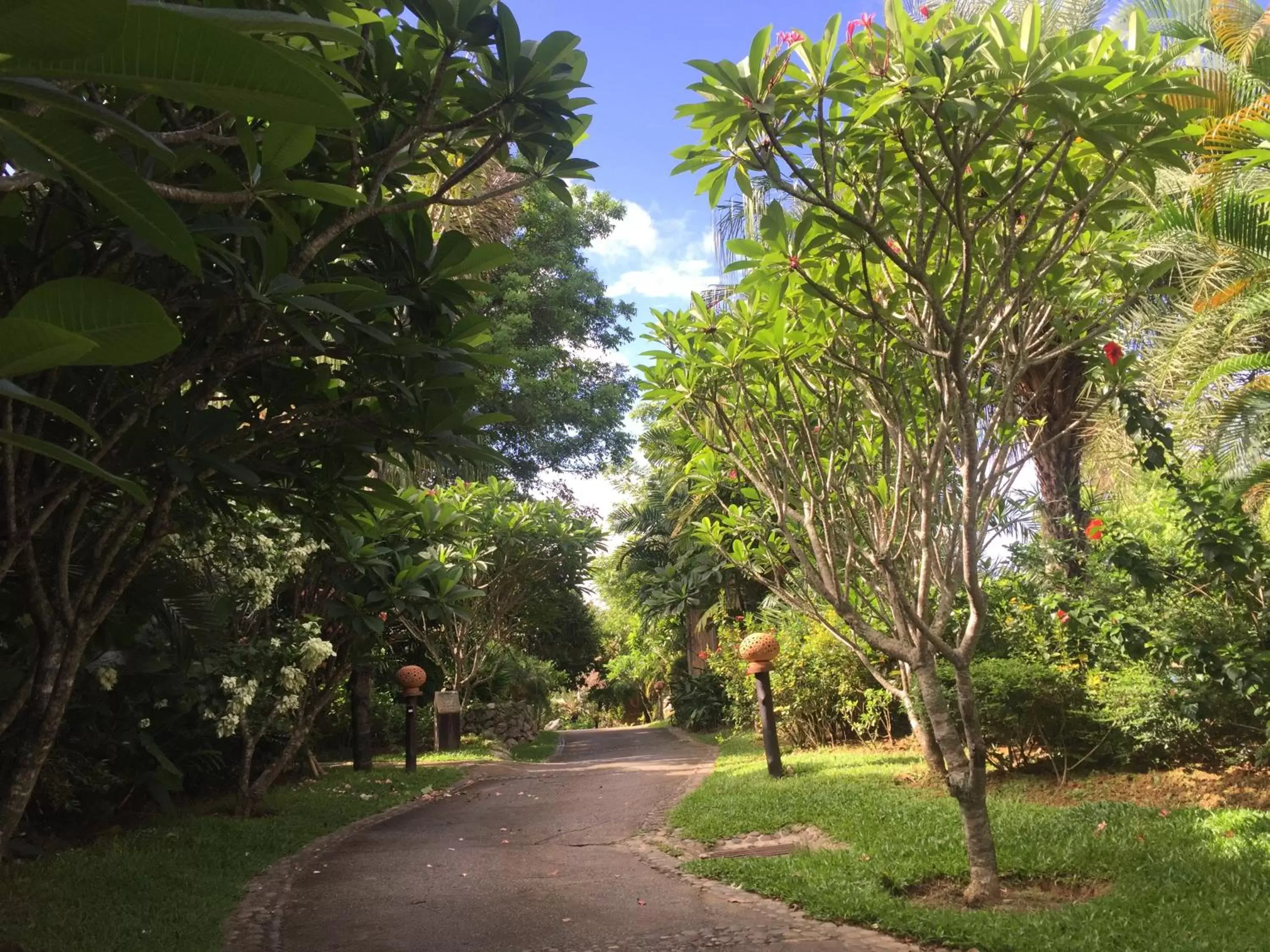 Garden in Katiliya Mountain Resort And Spa