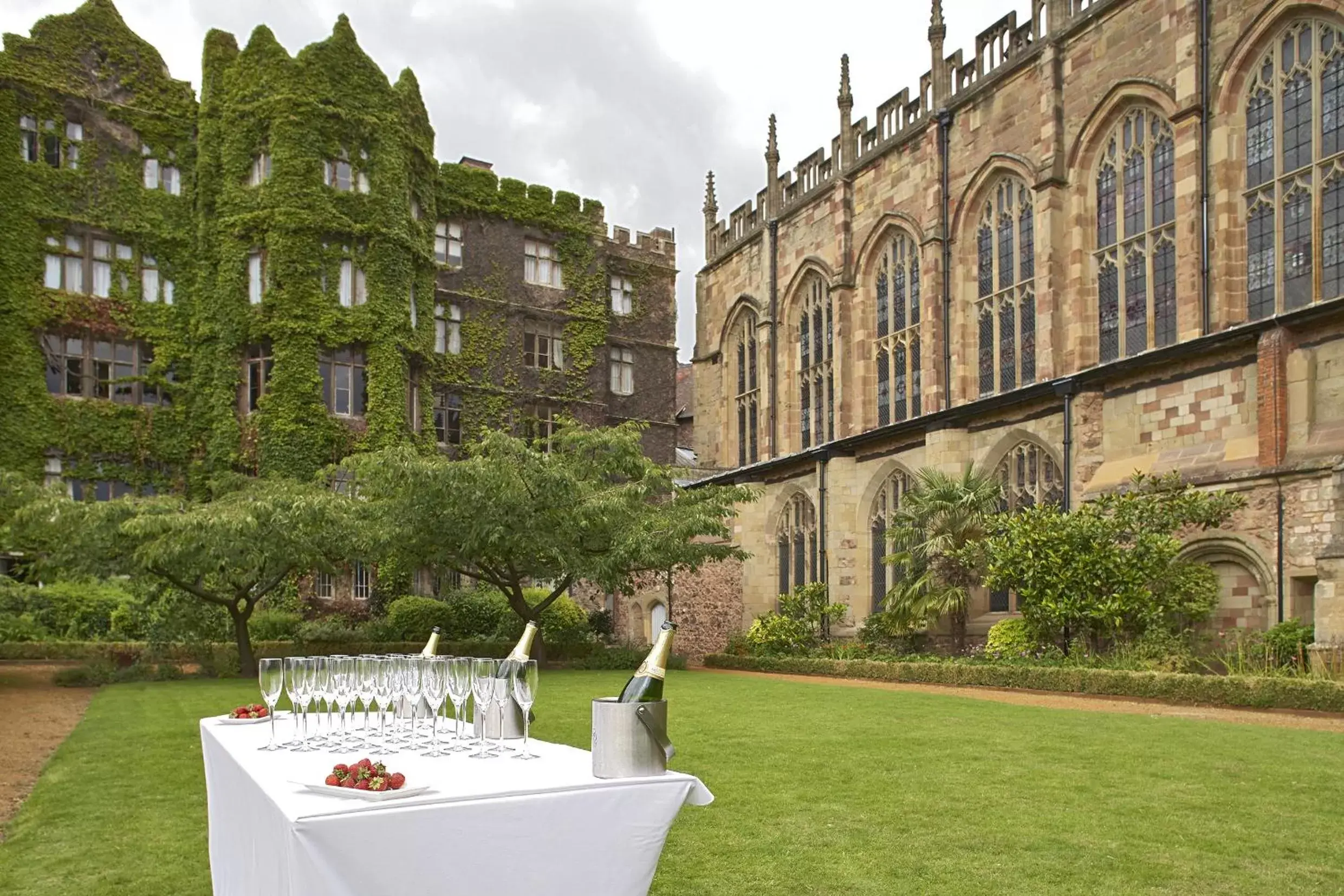 Garden in The Abbey