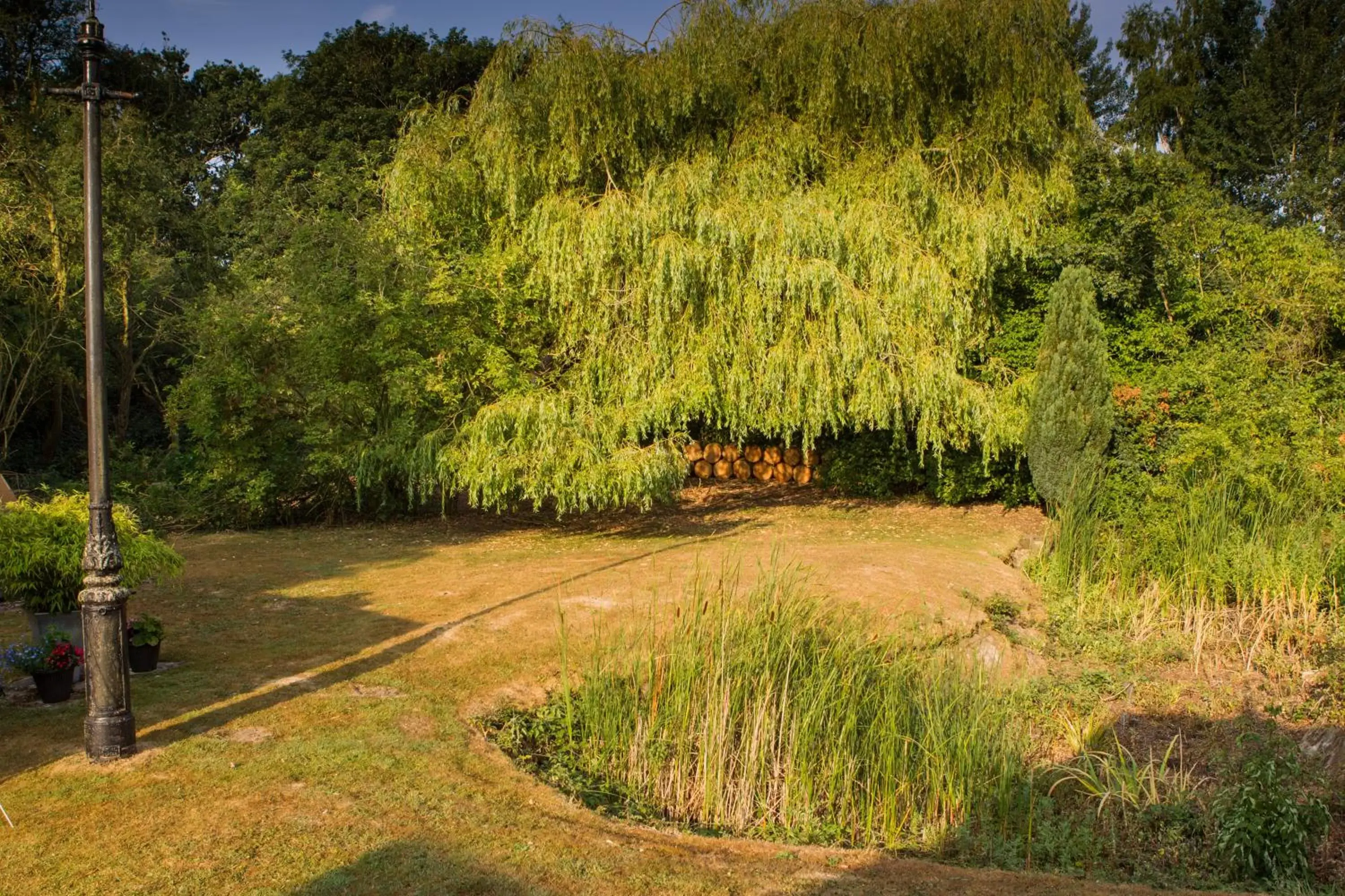 Garden in Blyth Lodge B&B