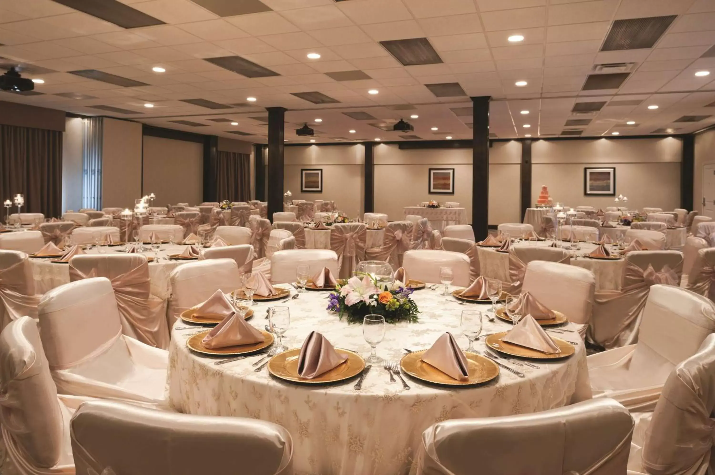 Meeting/conference room, Banquet Facilities in Embassy Suites Corpus Christi