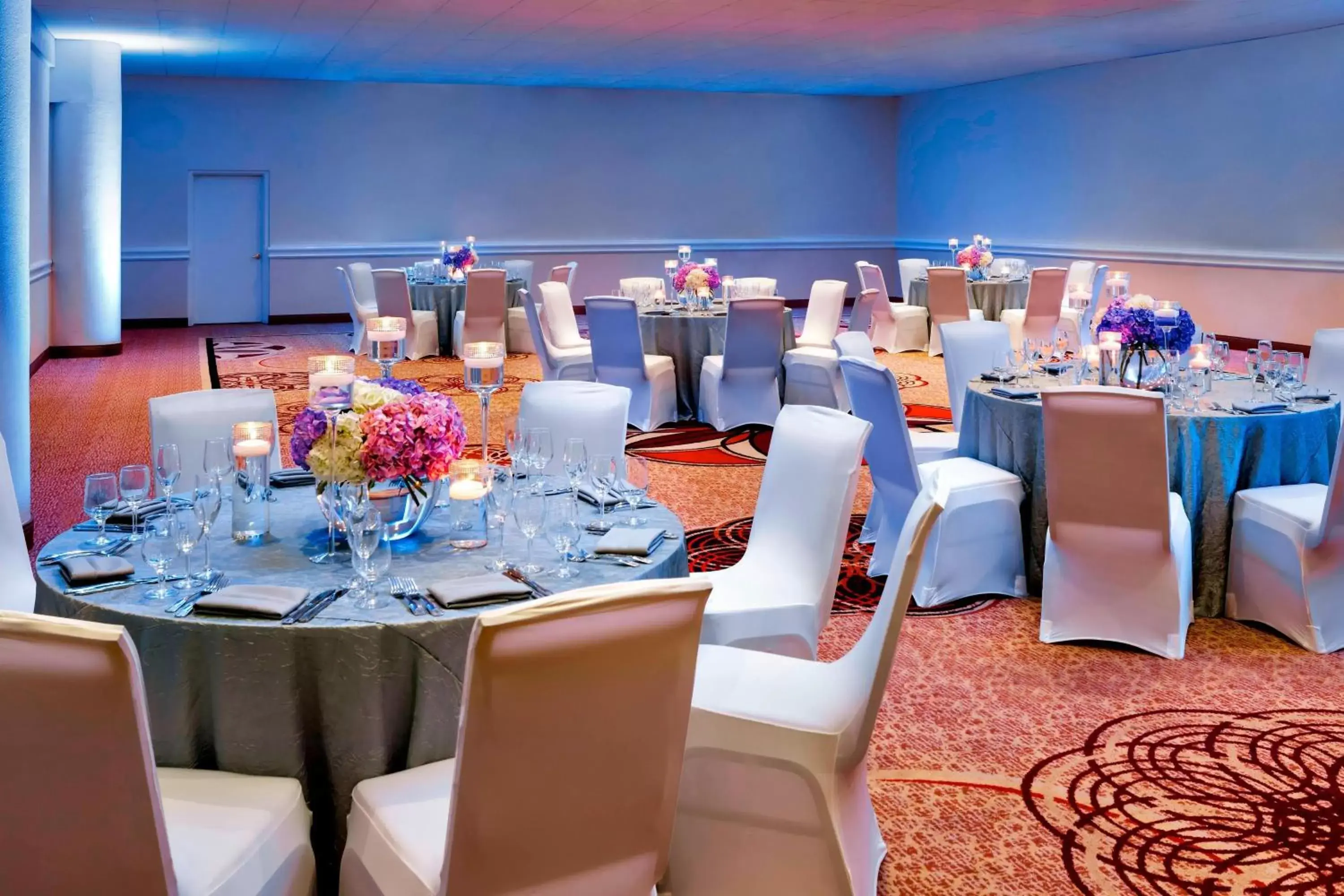 Meeting/conference room, Banquet Facilities in Sheraton Tampa Brandon Hotel
