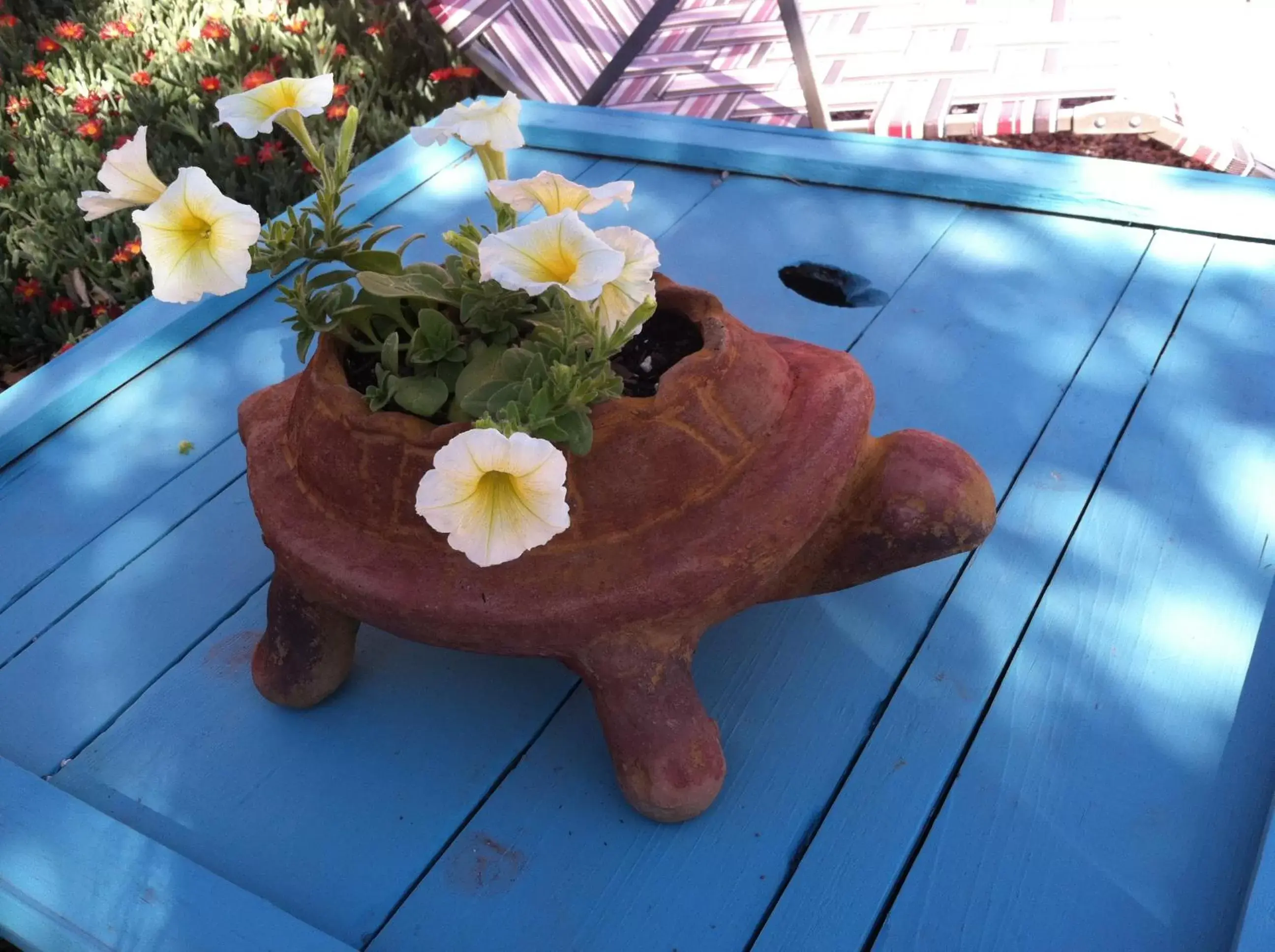 Patio in Rocket Inn