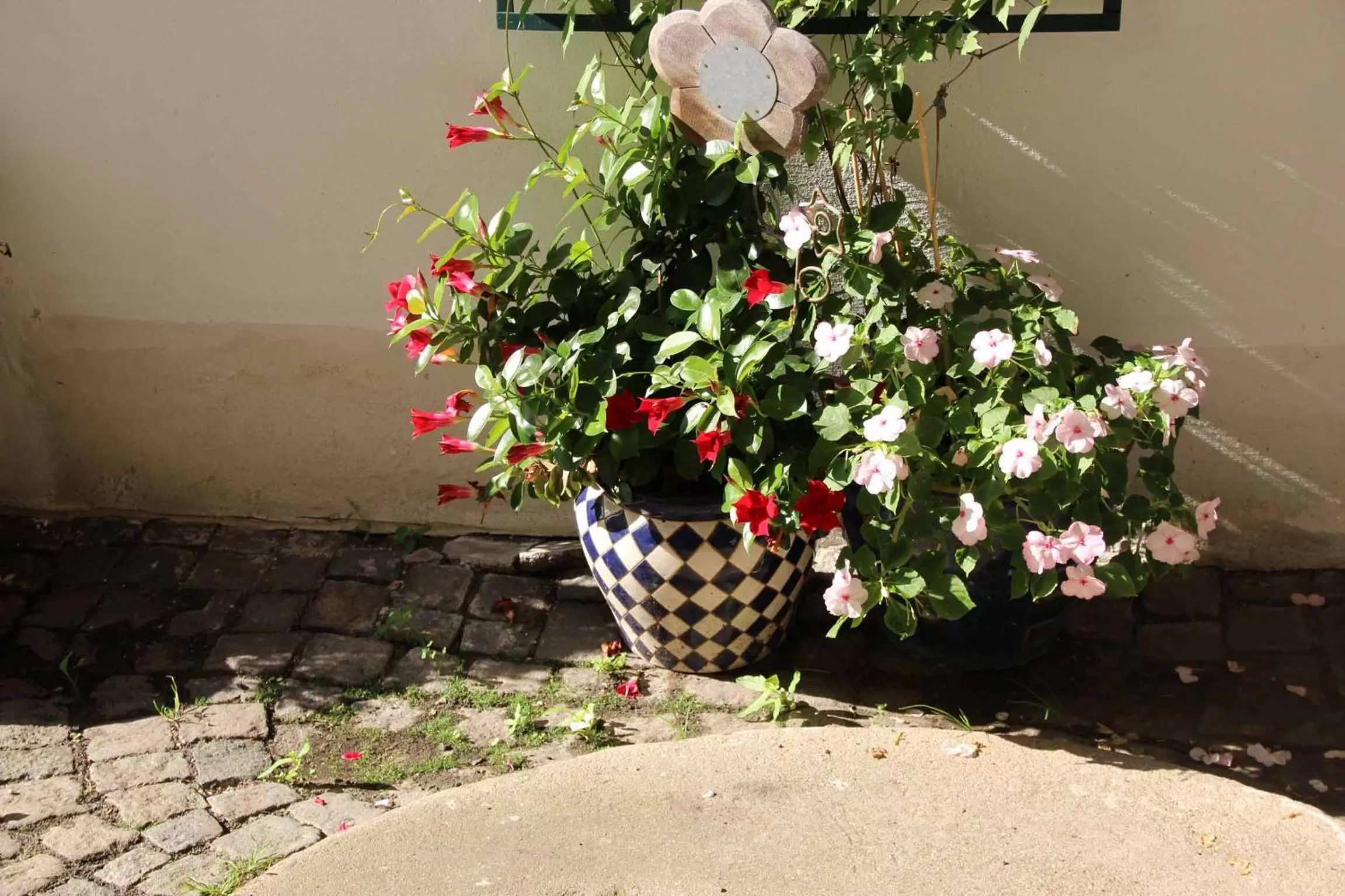 Garden in Hotel Gasthof Zum weissen Lamm