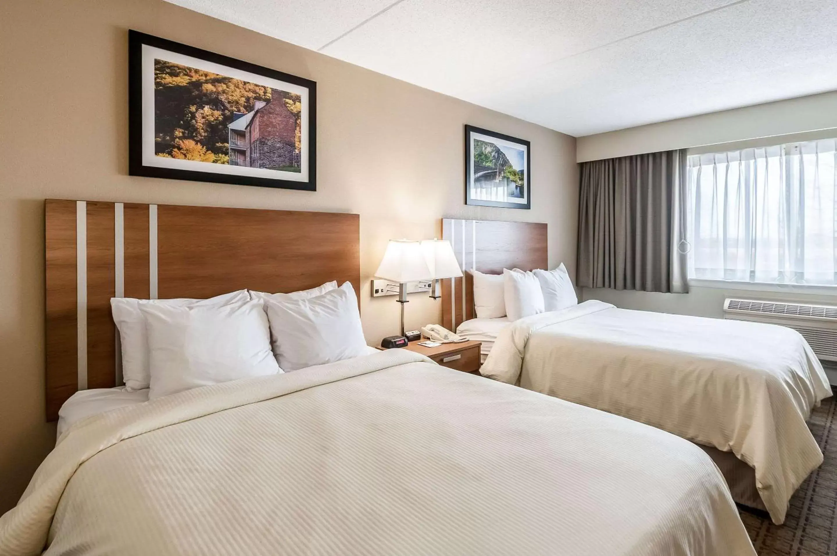 Photo of the whole room, Bed in Clarion Inn Harpers Ferry-Charles Town