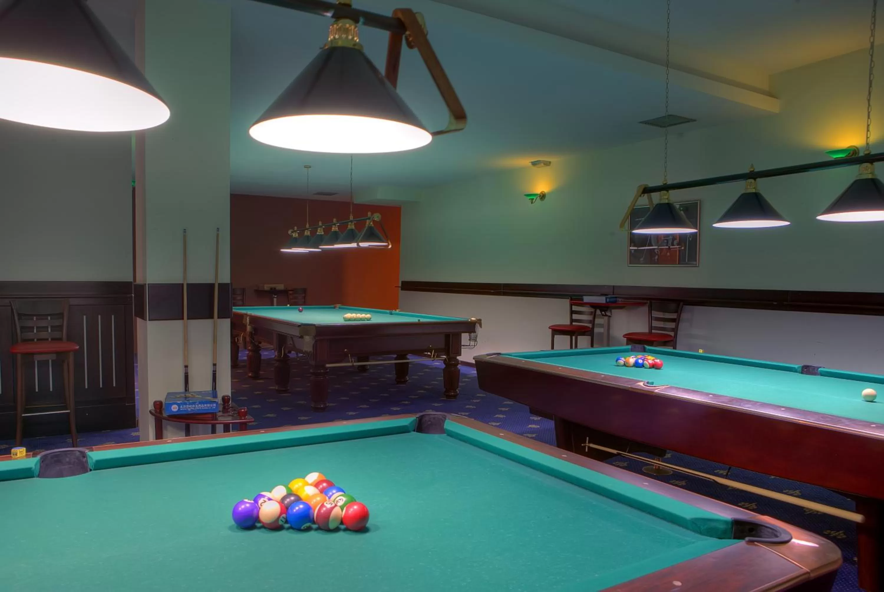 Billiard in Kopala Tskneti Hotel