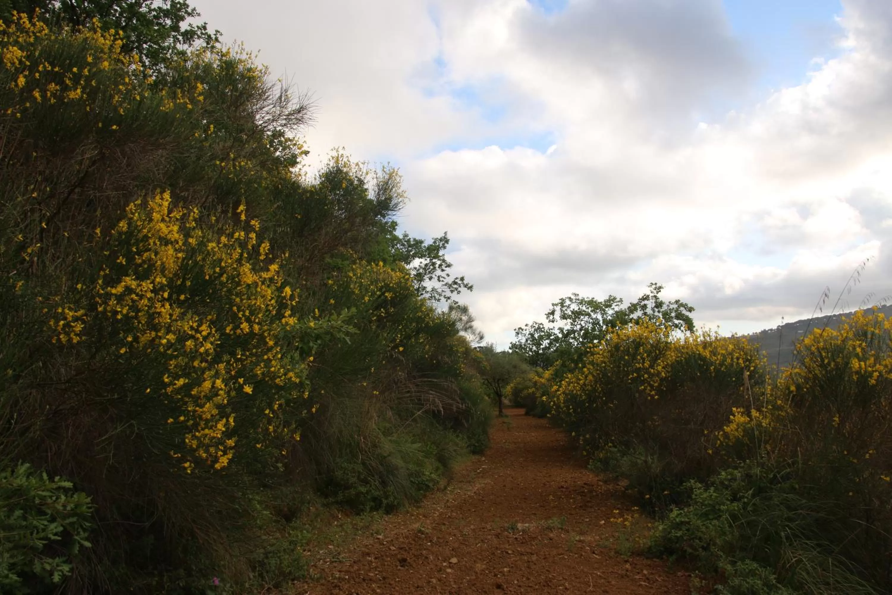 Natural landscape in B&B La Roverella