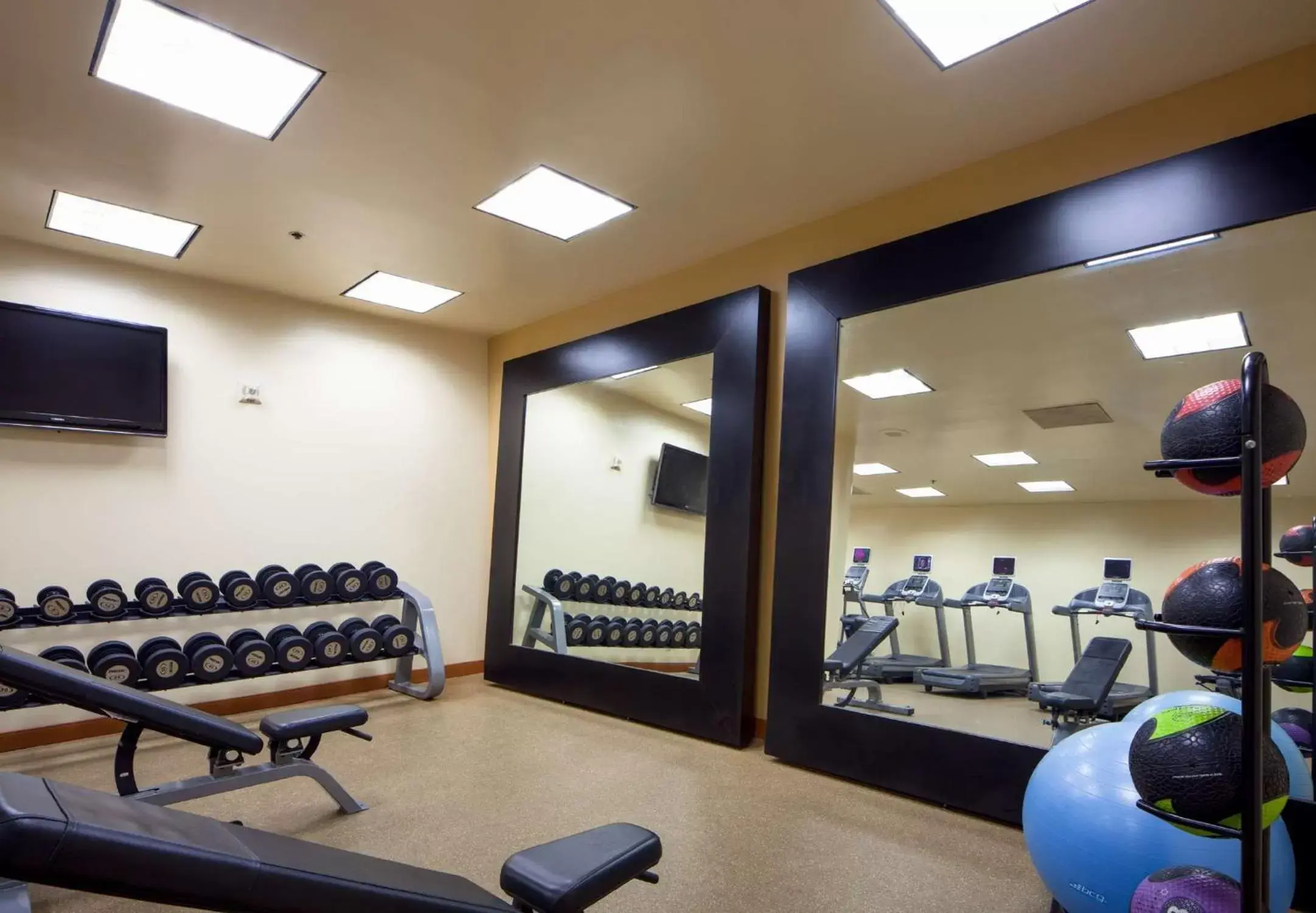 Fitness centre/facilities, Fitness Center/Facilities in Embassy Suites San Antonio Airport