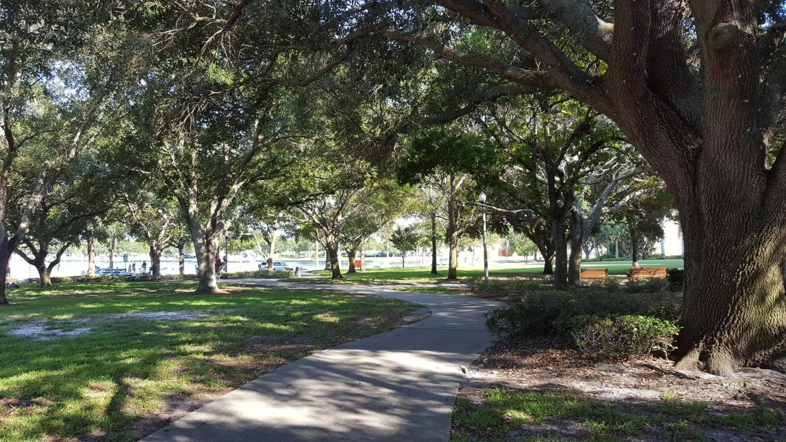 Nearby landmark, Garden in The Birchwood