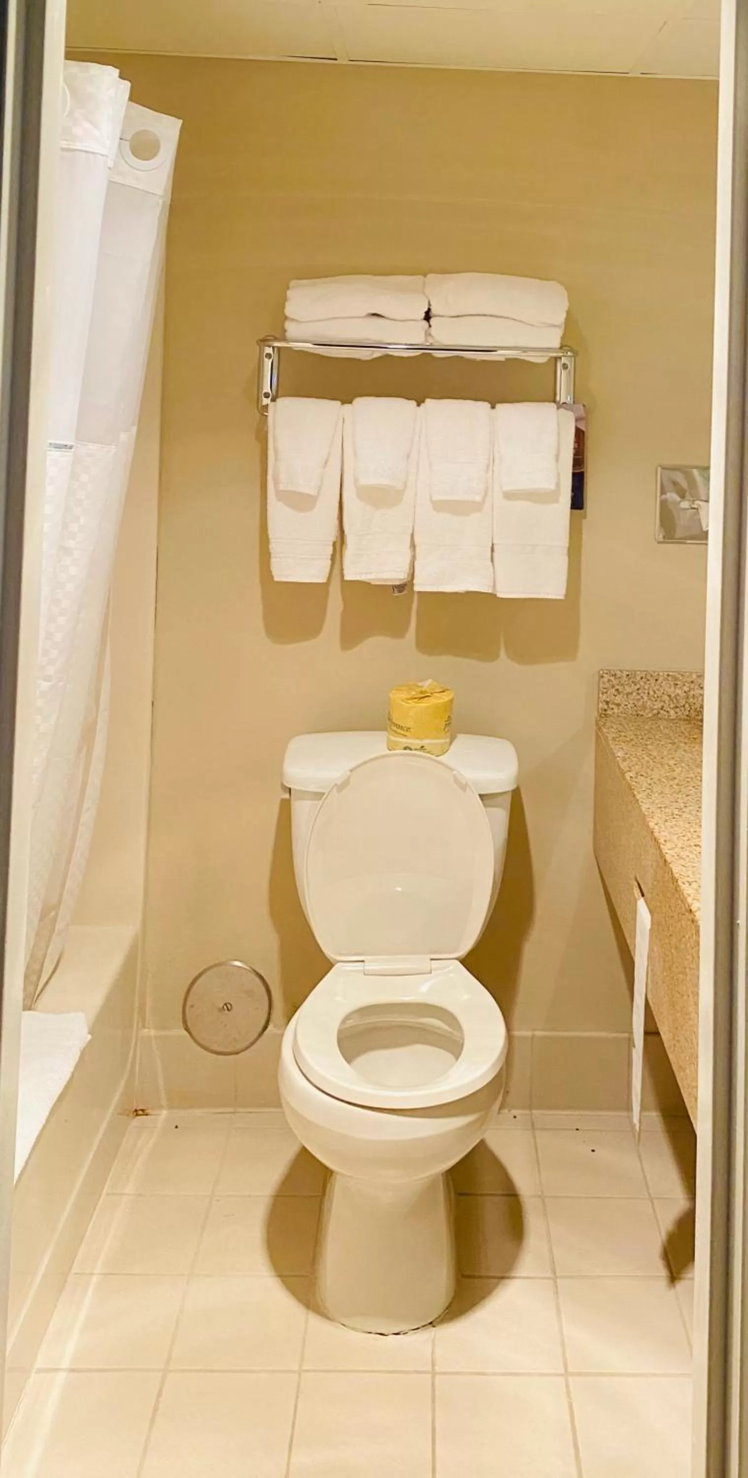 Bathroom in Baymont by Wyndham Latham Albany Airport