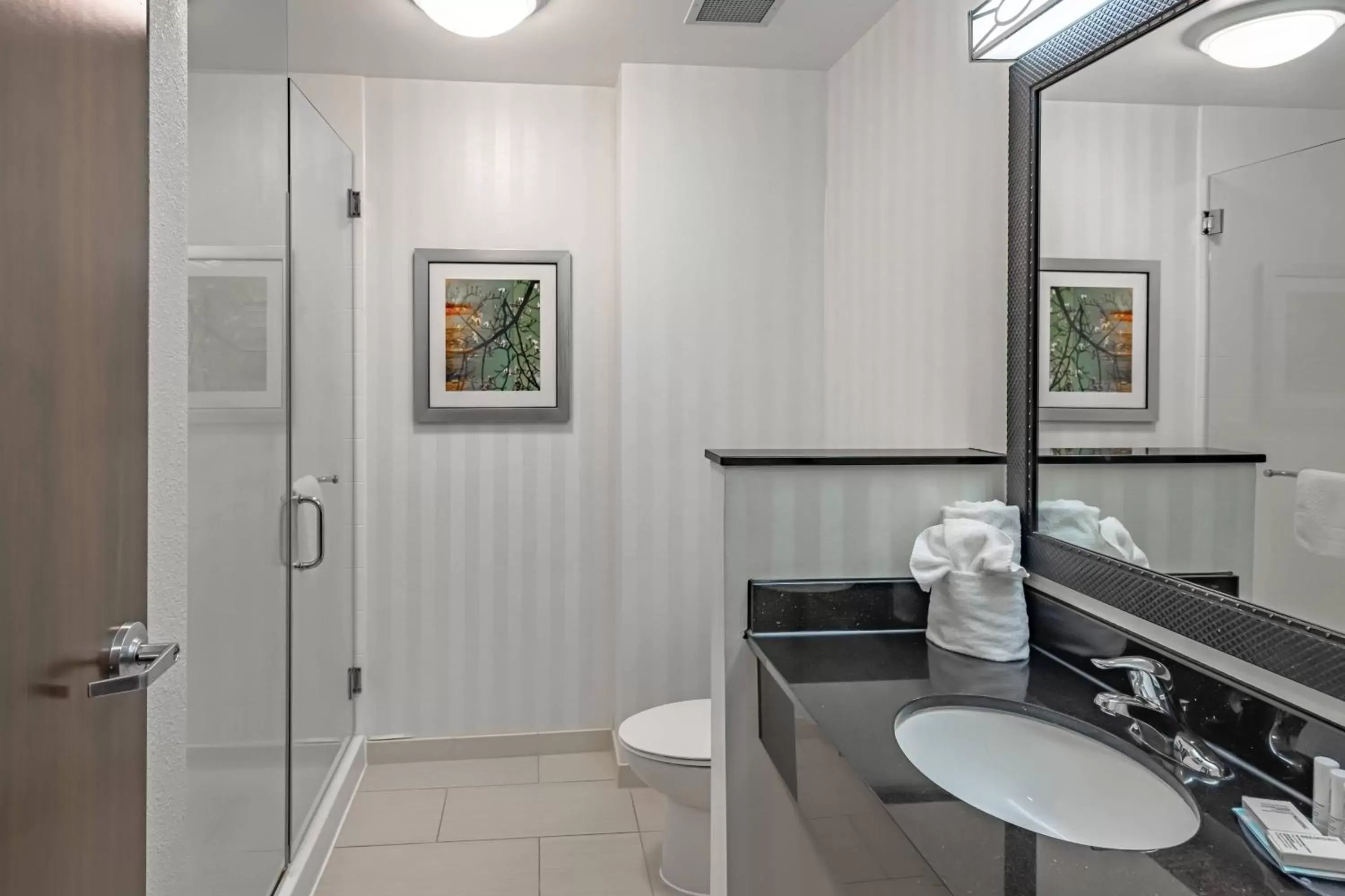 Bathroom in Fairfield Inn & Suites by Marriott New Braunfels
