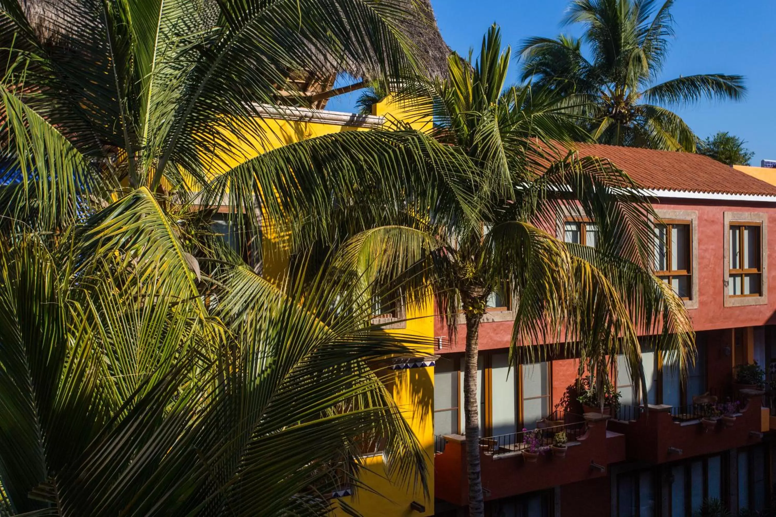 Sunrise, Pool View in El Pueblito de Sayulita