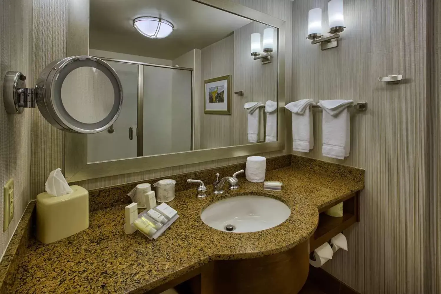 Bathroom in Hilton Garden Inn Durham-University Medical Center