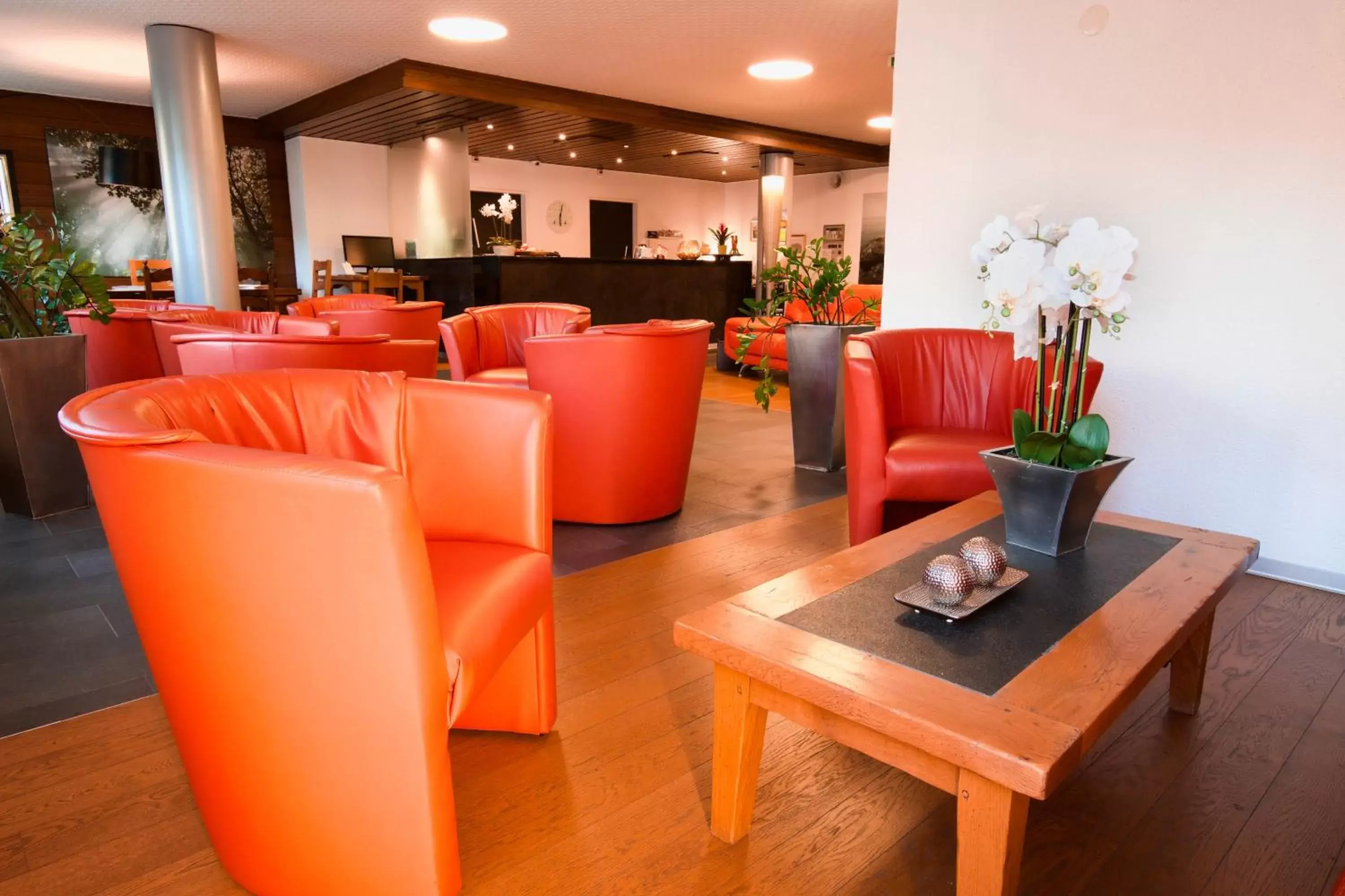 Lounge or bar in Hôtel du Rhône