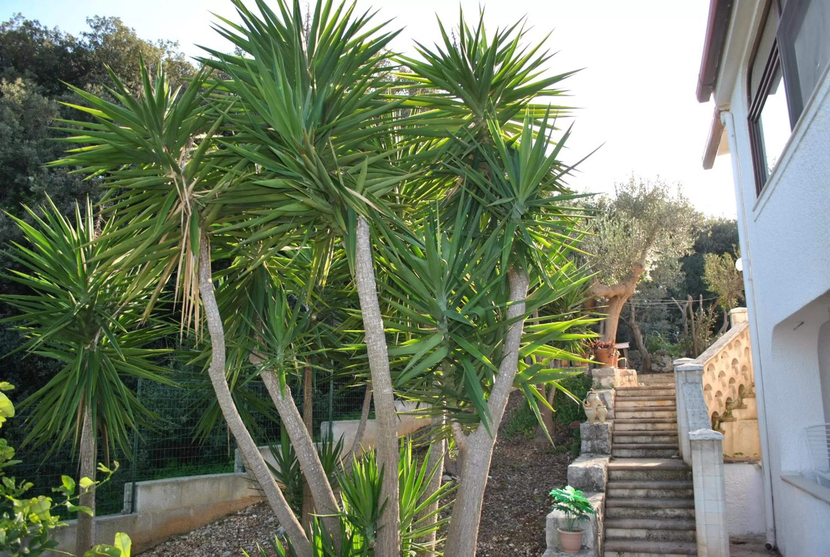 Le Dimore Del Sarto Polignano a mare