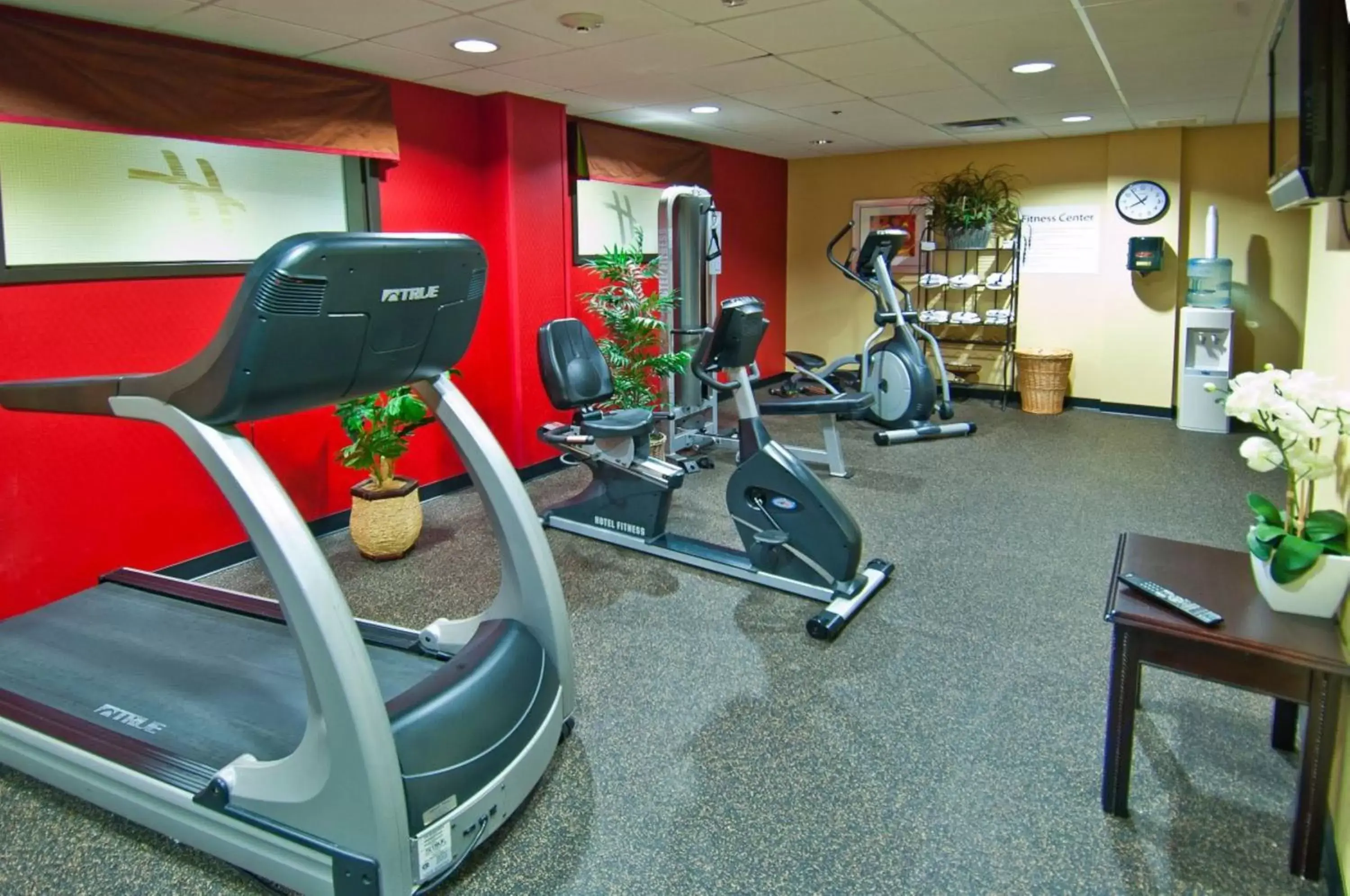 Fitness centre/facilities, Fitness Center/Facilities in Holiday Inn Vicksburg, an IHG Hotel