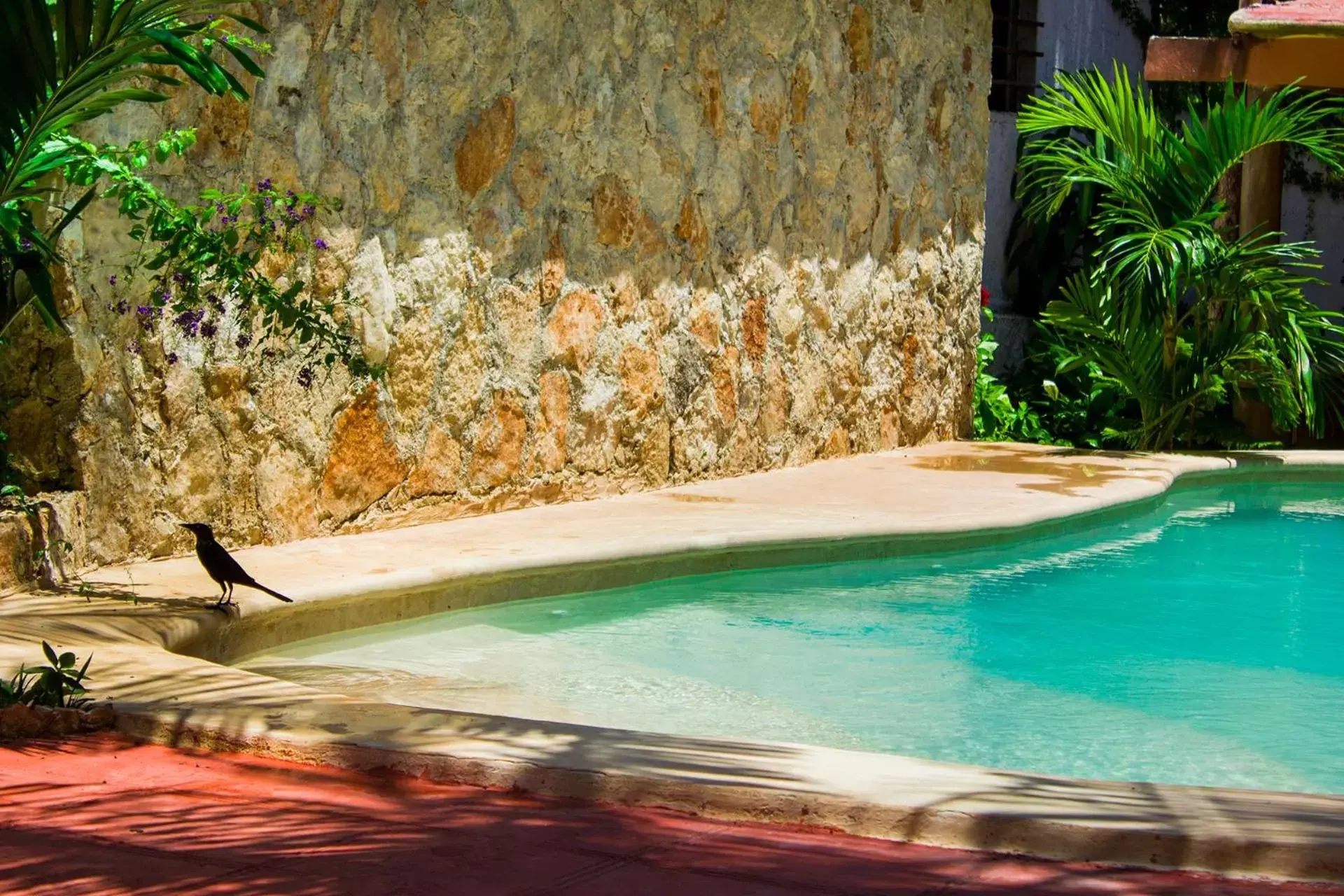 Patio, Swimming Pool in Casa De Los Pájaros - B&B