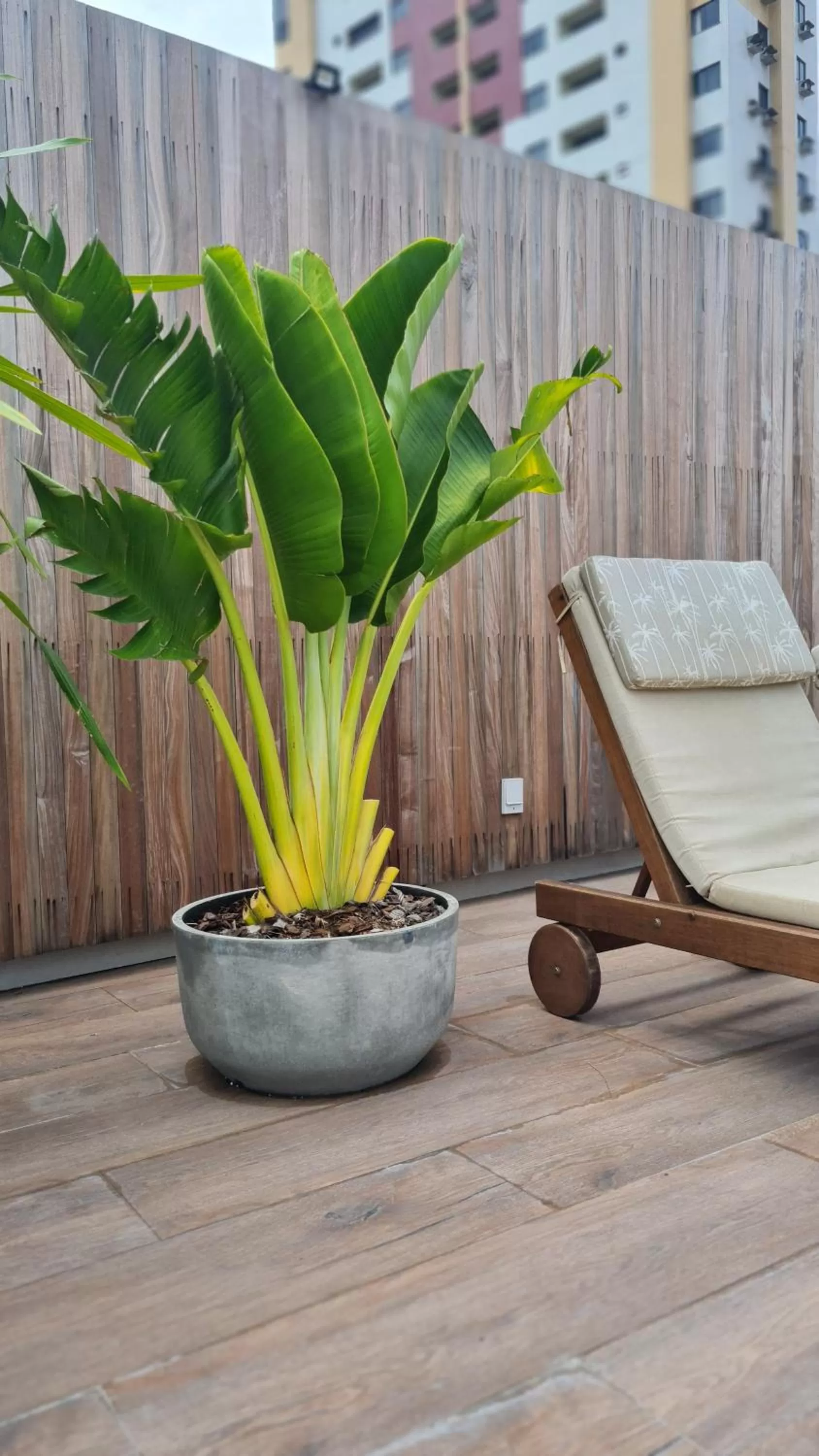 Decorative detail in Carppa Hotel