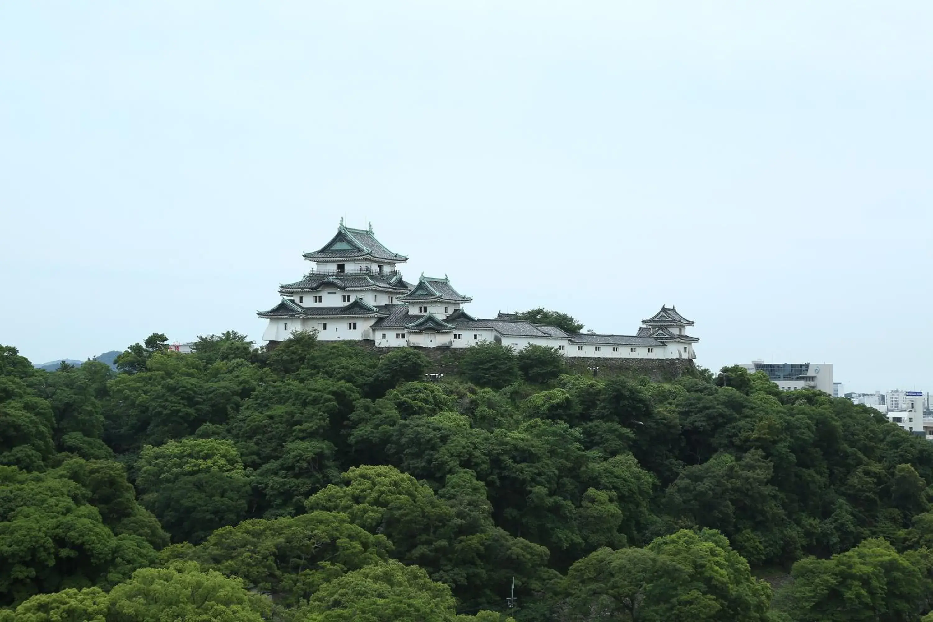 Daiwa Roynet Hotel Wakayama Castle