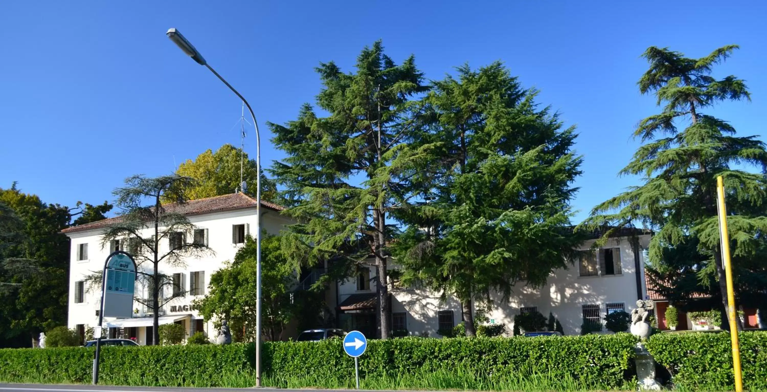 Garden, Property Building in Hotel Magnolia