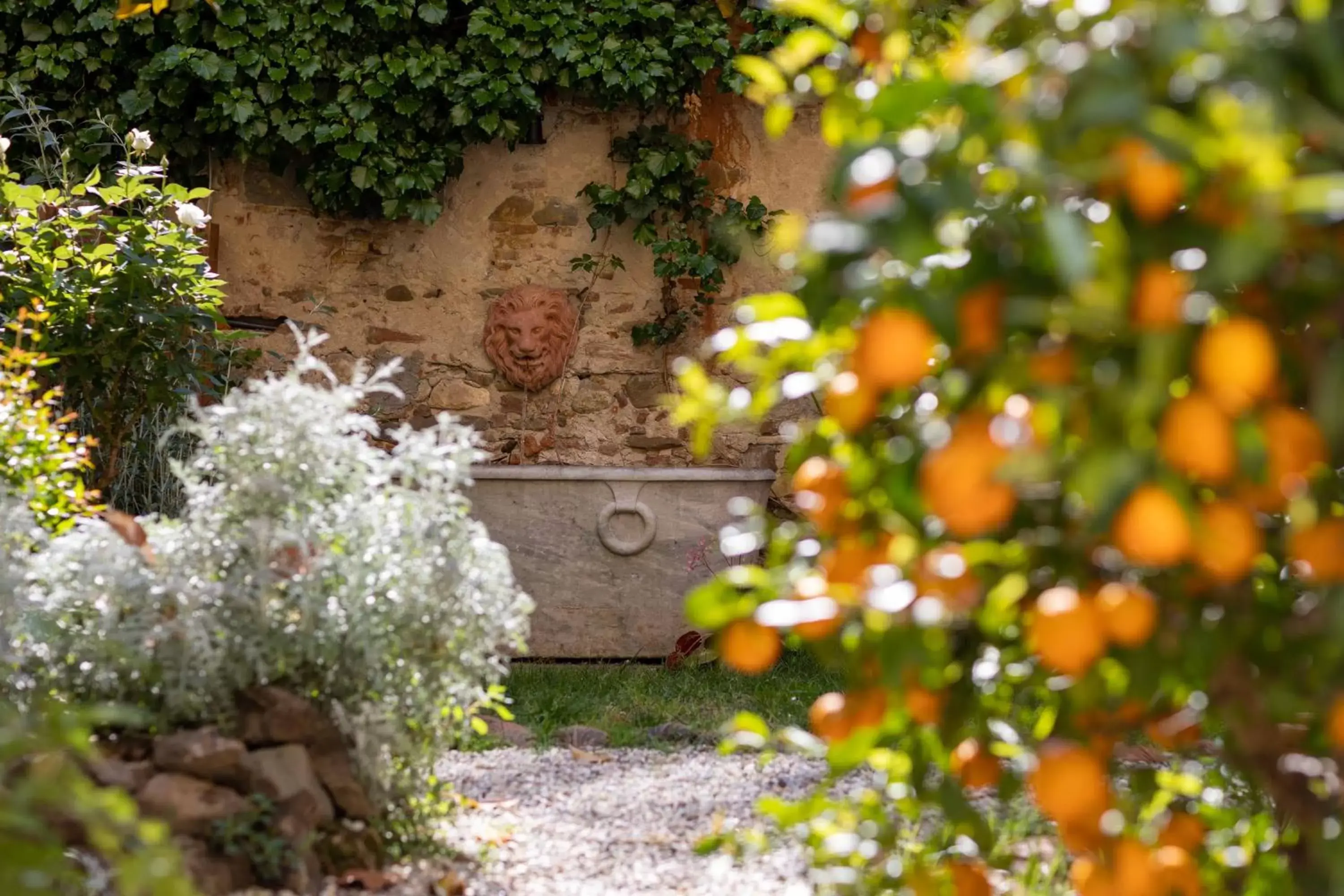 Garden in Secret Garden Firenze