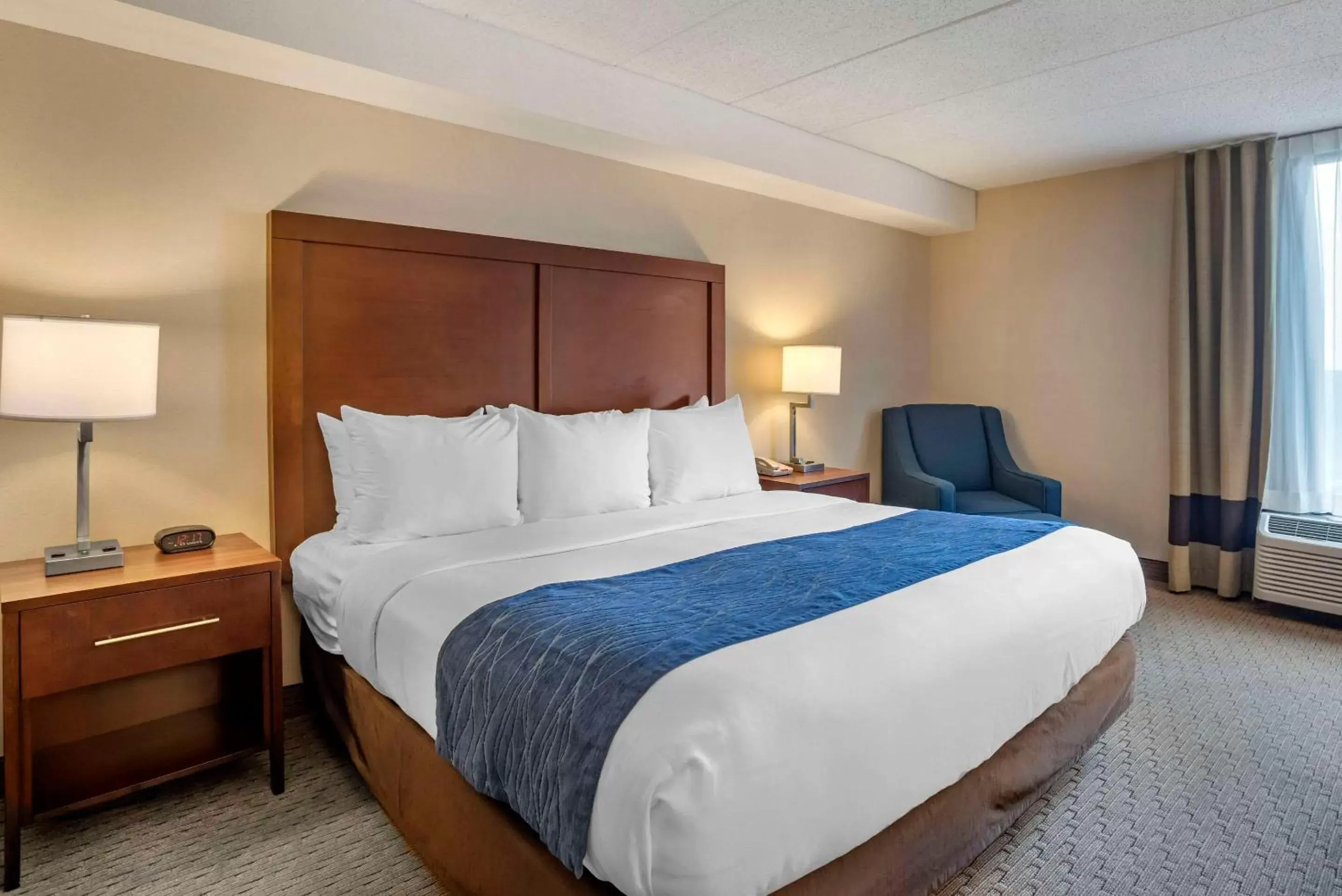 Bedroom, Bed in Comfort Inn Shady Grove - Gaithersburg - Rockville