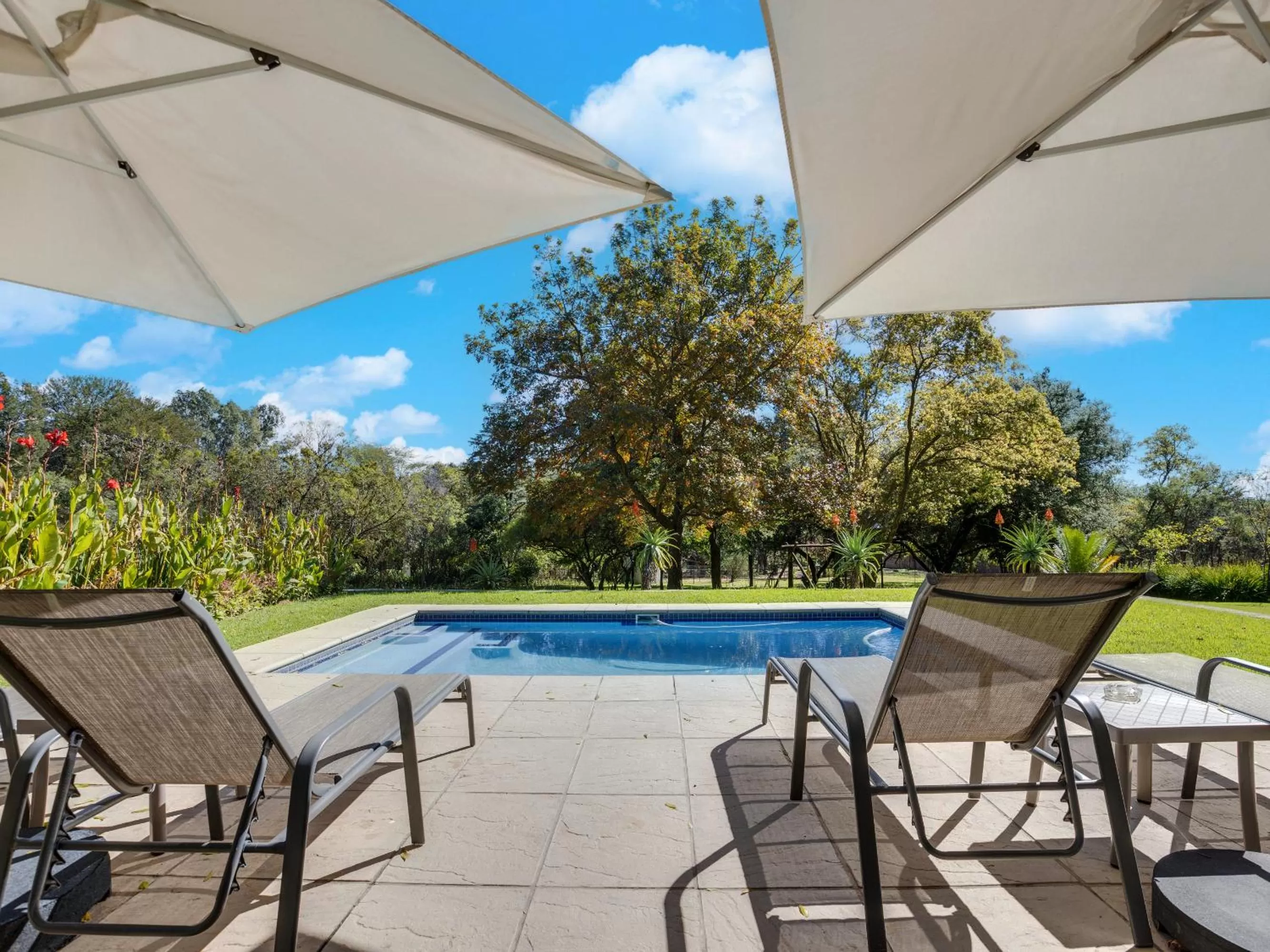 Garden in Amberhall Guesthouse