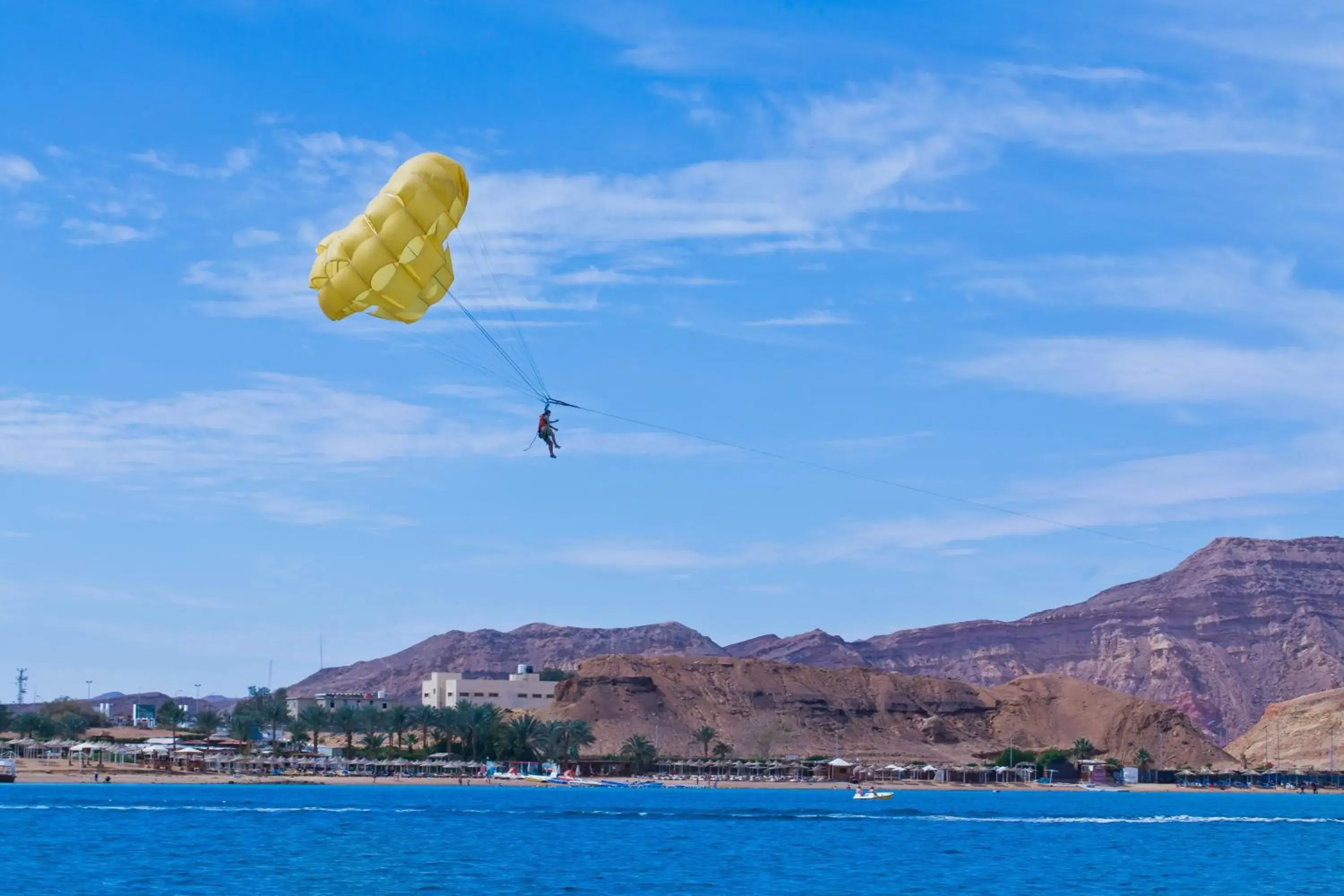 Entertainment, Other Activities in Albatros Sharm Resort - By Pickalbatros