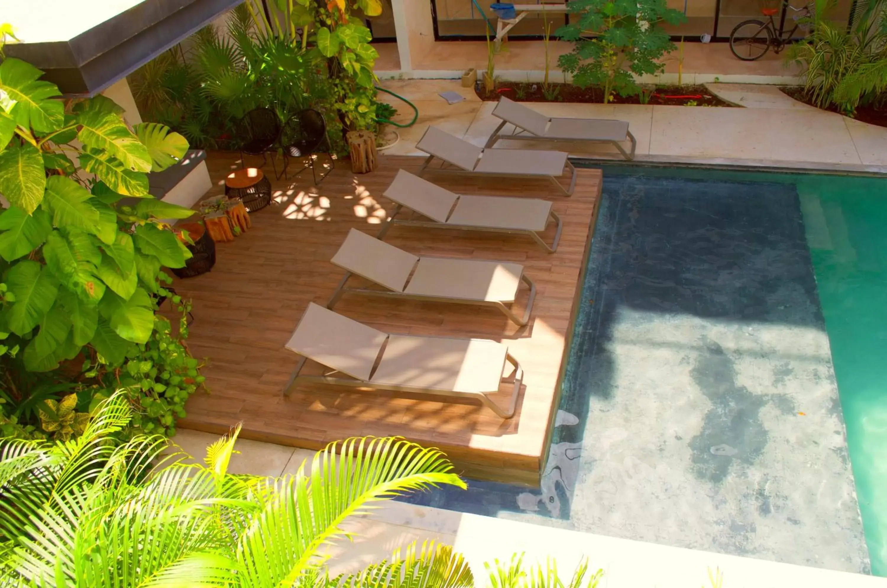 Patio, Swimming Pool in Gardens Coba - Luxury Cardinal