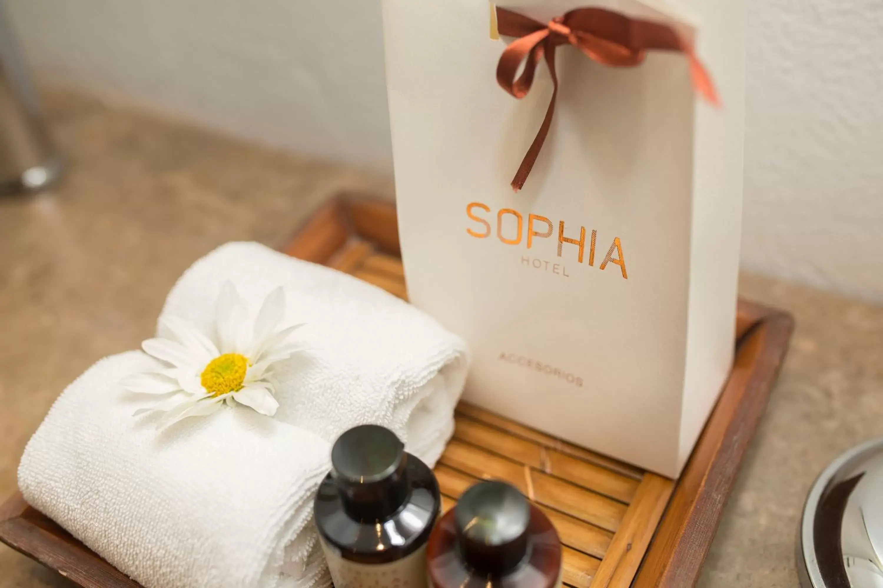 Spa and wellness centre/facilities in Sophia Hotel